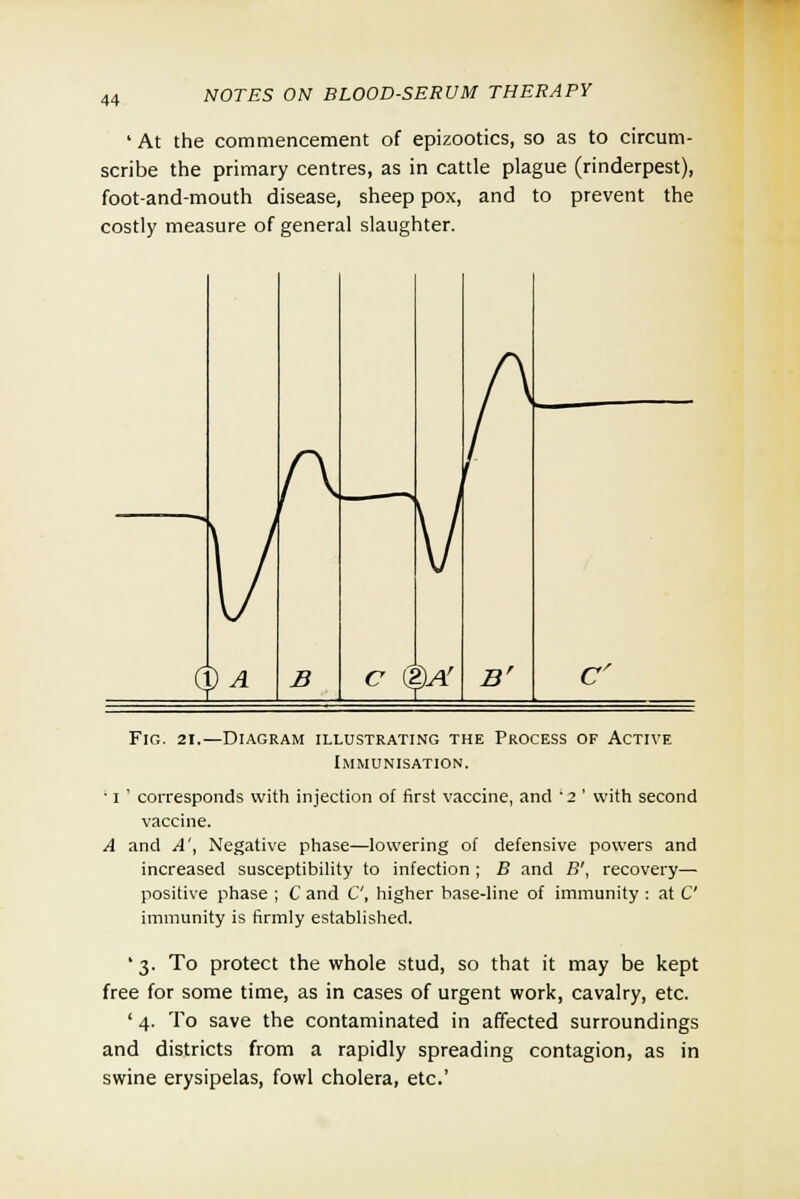 ' At the commencement of epizootics, so as to circum- scribe the primary centres, as in cattle plague (rinderpest), foot-and-mouth disease, sheep pox, and to prevent the costly measure of general slaughter. Fig. 21.—Diagram illustrating the Process of Active Immunisation. ■ I ' corresponds with injection of first vaccine, and '2 ' with second vaccine. A and A', Negative phase—lowering of defensive powers and increased susceptibility to infection ; B and B', recovery— positive phase ; C and C, higher base-line of immunity : at C immunity is firmly established. ' 3. To protect the whole stud, so that it may be kept free for some time, as in cases of urgent work, cavalry, etc. ' 4. To save the contaminated in affected surroundings and districts from a rapidly spreading contagion, as in swine erysipelas, fowl cholera, etc'
