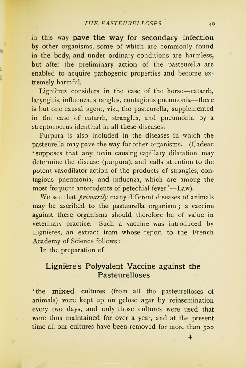 in this way pave the way for secondary infection by other organisms, some of which are commonly found in the body, and under ordinary conditions are harmless, but after the preliminary action of the pasteurella are enabled to acquire pathogenic properties and become ex- tremely harmful. Lignieres considers in the case of the horse—catarrh, laryngitis, influenza, strangles, contagious pneumonia—there is but one causal agent, viz., the pasteurella, supplemented in the case of catarrh, strangles, and pneumonia by a streptococcus identical in all these diseases. Purpura is also included in the diseases in which the pasteurella may pave the way for other organisms. (Cadeac ' supposes that any toxin causing capillary dilatation may determine the disease (purpura), and calls attention to the potent vasodilator action of the products of strangles, con- tagious pneumonia, and influenza, which are among the most frequent antecedents of petechial fever'—Law). We see that primarily many different diseases of animals may be ascribed to the pasteurella organism ; a vaccine against these organisms should therefore be of value in veterinary practice. Such a vaccine was introduced by Lignieres, an extract from whose report to the French Academy of Science follows : In the preparation of Ligniere's Polyvalent Vaccine against the Pasteurelloses 'the mixed cultures (from all the pasteurelloses of animals) were kept up on gelose agar by reinsemination every two days, and only those cultures were used that were thus maintained for over a year, and at the present time all our cultures have been removed for more than 500 4