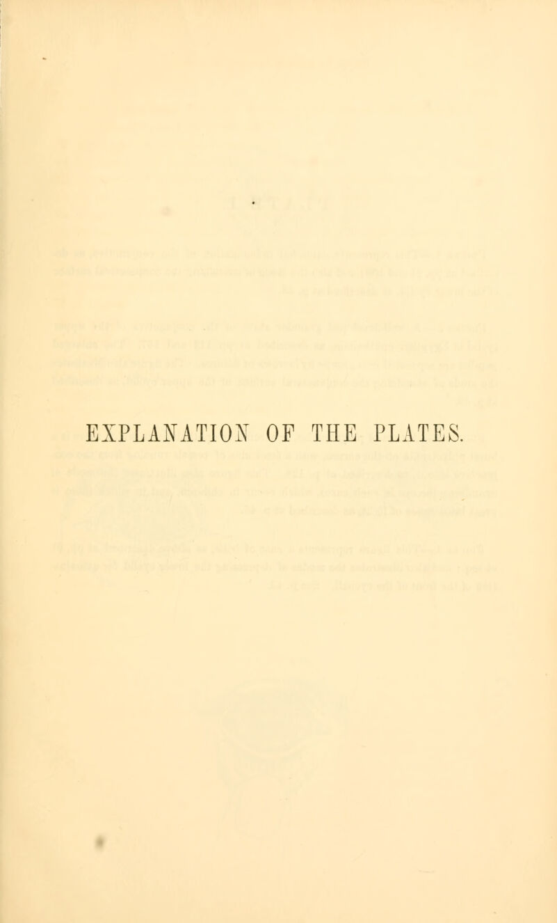 EXPLANATION OF THE PLATES.
