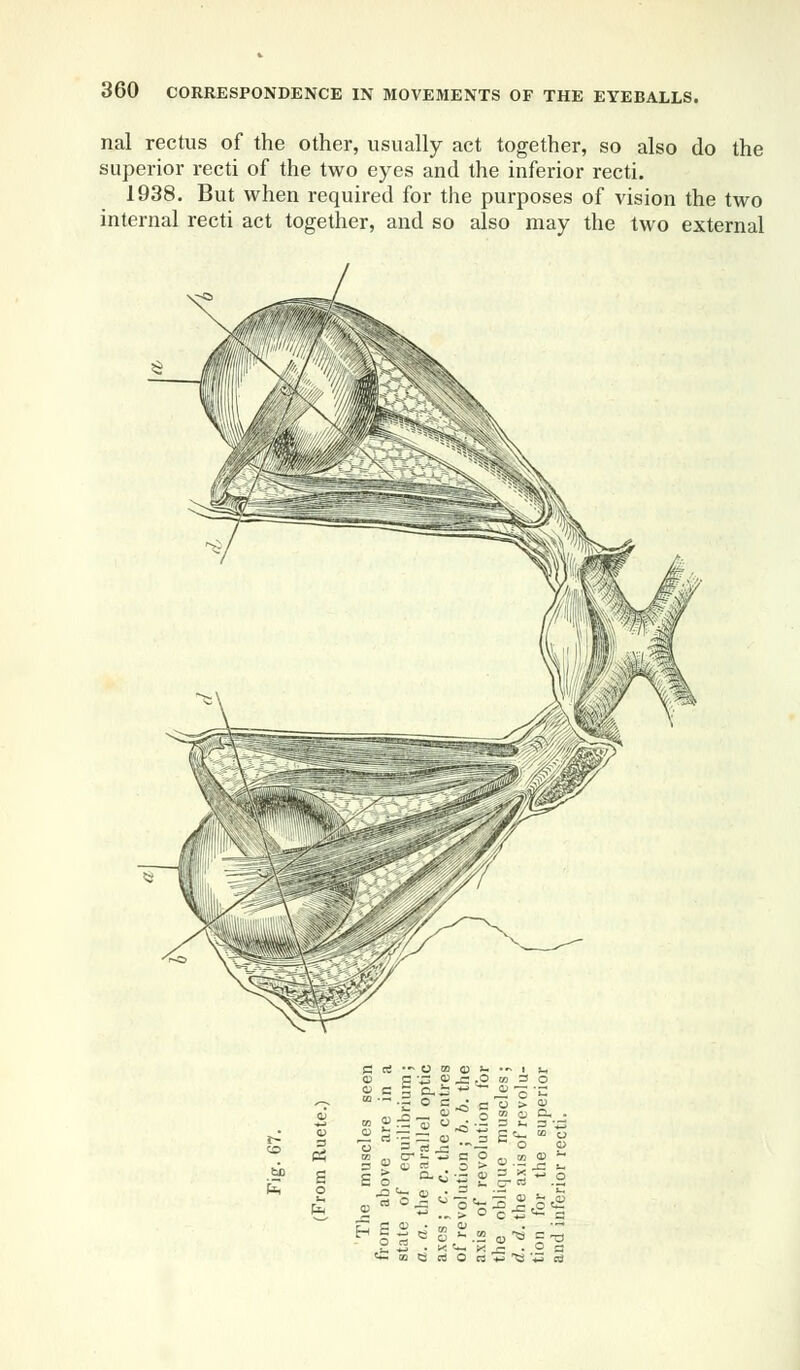 rial rectus of the other, usually act together, so also do the superior recti of the two eyes and the inferior recti. 1938. But when required for the purposes of vision the two internal recti act together, and so also may the two external to s o © E~ n..: • - 0) = 2 « © *-• 0J «fe to 8 sj > o c „ 01 ■J - .2 Q) o = ■< %h M _£ . O