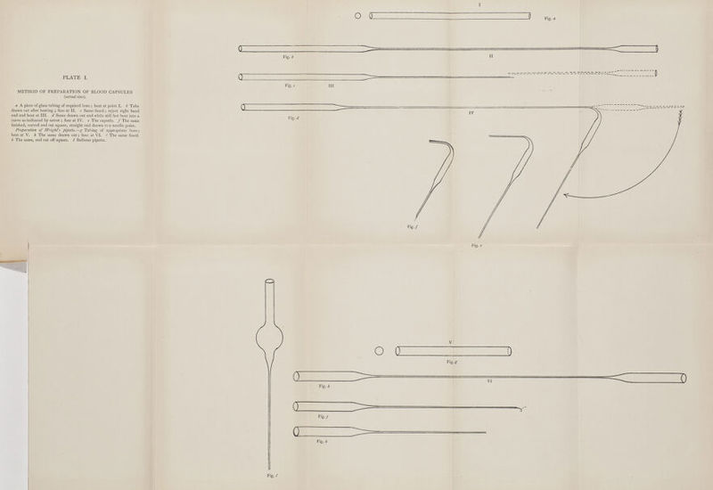O (T Fig. a Fig.* PLATE I. METHOD OF PREPARATION OF BLOOD CAPSULES (actual size). a A piece of glass tubing of required bore ; heat at point I. b Tube drawn out after heating ; fuse at II. c Same fused ; reject right hand end and heat at III. d Same drawn out and while still hot bent into a curve as indicated by arrow ; fuse at IV. e The capsule. / The same finished, curved end cut square, straight end drawn to a needle point. Preparation of Wrights pipette,—£-Tubing of appropriate bore; heat at V. k The same drawn out; fuse at VI. * The same fused. k The same, end cut off square. / Bulbous pipette. Fig. c Fig.rf O d Kg., d d a D Fig. h 'V