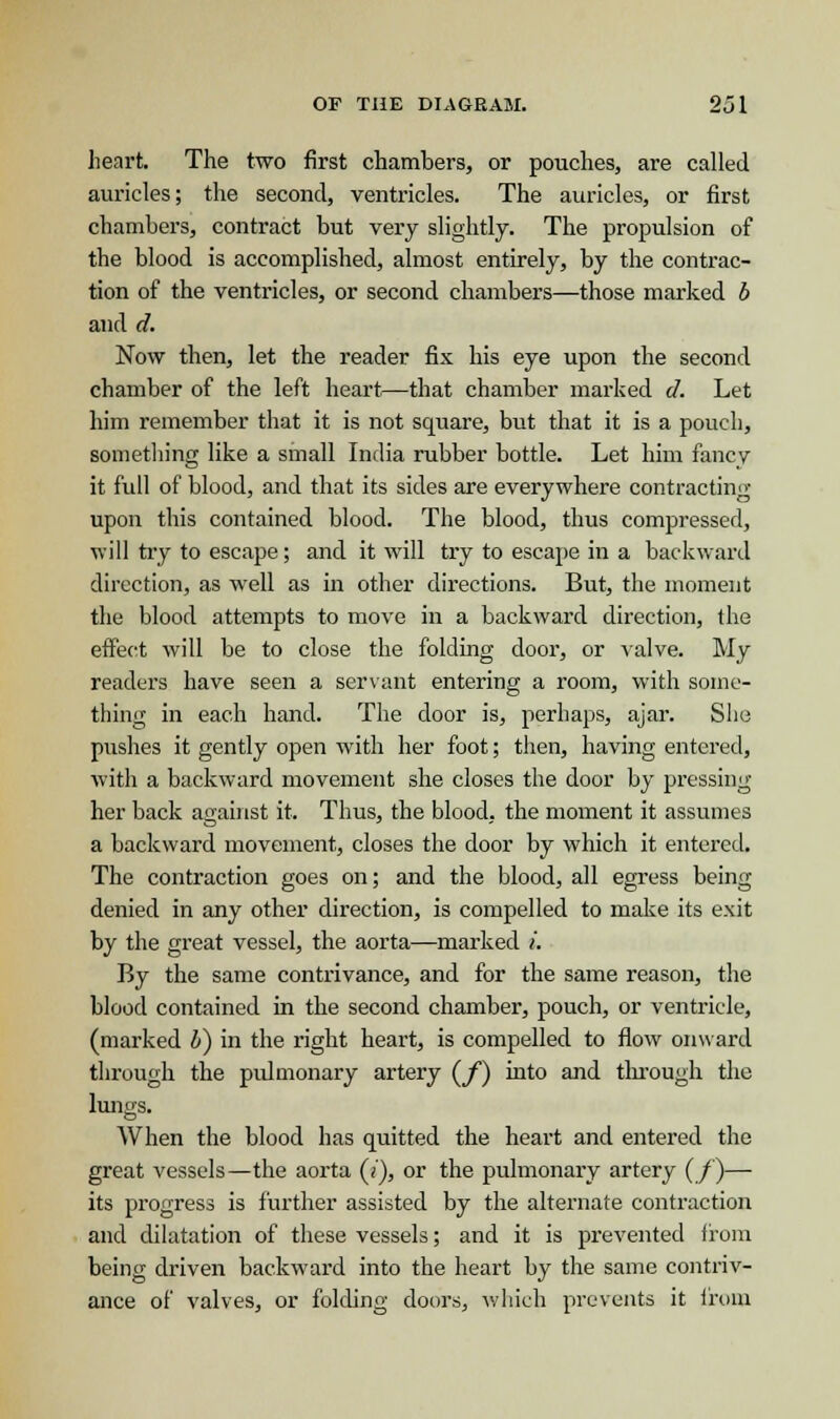 heart. The two first chambers, or pouches, are called auricles; the second, ventricles. The auricles, or first chambers, contract but very slightly. The propulsion of the blood is accomplished, almost entirely, by the contrac- tion of the ventricles, or second chambers—those marked b and d. Now then, let the reader fix his eye upon the second chamber of the left heart—that chamber marked d. Let him remember that it is not square, but that it is a pouch, something like a small India rubber bottle. Let him fancy it full of blood, and that its sides are everywhere contracting upon this contained blood. The blood, thus compressed, will try to escape; and it will try to escape in a backward direction, as well as in other directions. But, the moment the blood attempts to move in a backward direction, the effect will be to close the folding door, or valve. My readers have seen a servant entering a room, with some- thing in each hand. The door is, perhaps, ajar. She pushes it gently open with her foot; then, having entered, with a backward movement she closes the door by pressing her back against it. Thus, the blood, the moment it assumes a backward movement, closes the door by which it entered. The contraction goes on; and the blood, all egress being- denied in any other direction, is compelled to make its exit by the great vessel, the aorta—marked i. By the same contrivance, and for the same reason, the blood contained in the second chamber, pouch, or ventricle, (marked V) in the right heart, is compelled to flow onward through the pulmonary artery (/) into and through the lungs. When the blood has quitted the heart and entered the great vessels—the aorta (7), or the pulmonary artery (/)— its progress is further assisted by the alternate contraction and dilatation of these vessels; and it is prevented from being driven backward into the heart by the same contriv- ance of valves, or folding doors, which prevents it from