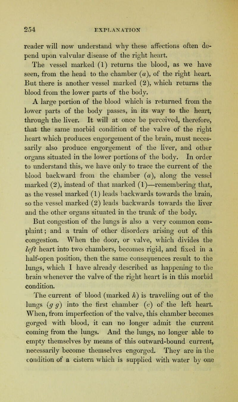 reader will now understand why these affections often de- pend upon valvular disease of the right heart. The vessel marked (1) returns the blood, as we have seen, from the head to the chamber (a), of the right heart. But there is another vessel marked (2), which returns the blood from the lower parts of the body. A large portion of the blood which is returned from the lower parts of the body passes, in its way to the heart, through the liver. It will at once be perceived, therefore, that the same morbid condition of the valve of the right heart which produces engorgement of the brain, must neces- sarily also produce engorgement of the liver, and other organs situated in the lower portions of the body. In order to understand this, we have only to trace the current of the blood backward from the chamber (a), along the vessel marked (2), instead of that marked (1)—remembering that, as the vessel marked (1) leads backwards towards the brain, so the vessel marked (2) leads backwards towards the liver and the other organs situated in the trunk of the body. But congestion of the lungs is also a very common com- plaint ; and a train of other disorders arising out of this congestion. When the door, or valve, which divides the left heart into two chambers, becomes rigid, and fixed in a half-open position, then the same consequences result to the lungs, which I have already described as happening to the brain whenever the valve of the right heart is in this morbid condition. The current of blood (marked h) is travelling out of the lungs {g g) into the first chamber («) of the left heart. When, from imperfection of the valve, this chamber becomes gorged with blood, it can no longer admit the current coming from the lungs. And the lungs, no longer able to empty themselves by means of this outward-bound current, necessarily become themselves engorged. They are in the condition of a cistern which is supplied with water by one