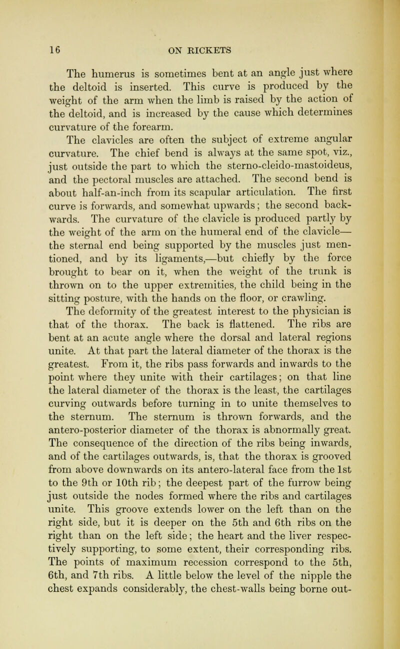 The humerus is sometimes bent at an angle just where the deltoid is inserted. This curve is produced by the weight of the arm when the limb is raised by the action of the deltoid, and is increased by the cause which determines curvature of the forearm. The clavicles are often the subject of extreme angular curvature. The chief bend is always at the same spot, viz., just outside the part to which the sterno-cleido-mastoideus, and the pectoral muscles are attached. The second bend is about half-an-inch from its scapular articulation. The first curve is forwards, and somewhat upwards; the second back- wards. The curvature of the clavicle is produced partly by the weight of the arm on the humeral end of the clavicle— the sternal end being supported by the muscles just men- tioned, and by its ligaments,—but chiefly by the force brought to bear on it, when the weight of the trunk is thrown on to the upper extremities, the child being in the sitting posture, with the hands on the floor, or crawling. The deformity of the greatest interest to the physician is that of the thorax. The back is flattened. The ribs are bent at an acute angle where the dorsal and lateral regions unite. At that part the lateral diameter of the thorax is the greatest. From it, the ribs pass forwards and inwards to the point where they unite with their cartilages; on that line the lateral diameter of the thorax is the least, the cartilages curving outwards before turning in to unite themselves to the sternum. The sternum is thrown forwards, and the antero-posterior diameter of the thorax is abnormally great. The consequence of the direction of the ribs being inwards, and of the cartilages outwards, is, that the thorax is grooved from above downwards on its antero-lateral face from the 1st to the 9th or 10th rib; the deepest part of the furrow being just outside the nodes formed where the ribs and cartilages unite. This groove extends lower on the left than on the right side, but it is deeper on the 5th and 6th ribs on the right than on the left side; the heart and the liver respec- tively supporting, to some extent, their corresponding ribs. The points of maximum recession correspond to the 5th, 6th, and 7th ribs. A little below the level of the nipple the chest expands considerably, the chest-walls being borne out-