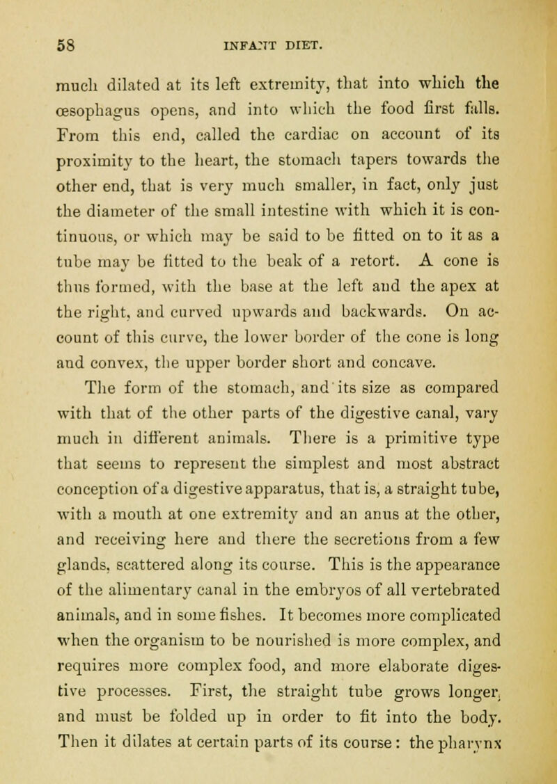 much dilated at its left extremity, that into wliicb the oesophagus opens, and into which the food first falls. From this end, called the cardiac on account of its proximity to the heart, the stomach tapers towards the other end, that is very much smaller, in fact, only just the diameter of the small intestine with which it is con- tinuous, or which may be said to be fitted on to it as a tube may be fitted to the beak of a retort. A cone is thus formed, with the base at the left and the apex at the rigiit, and curved upwards and backwards. On ac- count of this curve, the lower border of the cone is long and convex, tlie upper border short and concave. The form of the stomach, and'its size as compared with that of the other parts of the digestive canal, vary much in difi'erent animals. There is a primitive type that seems to represent the simplest and most abstract conception of a digestive apparatus, that is, a straight tube, with a mouth at one extremity and an anus at the other, and receiving here and tliere the secretions from a few glands, scattered along its course. Tiiis is the appearance of the alimentary canal in the embryos of all vertebrated animals, and in some fishes. It becomes more complicated when the organism to be nourished is more complex, and requires more complex food, and more elaborate diges- tive processes. First, the straight tube grows longer, and must be folded up in order to fit into the body. Tiien it dilates at certain parts of its course: the pharynx