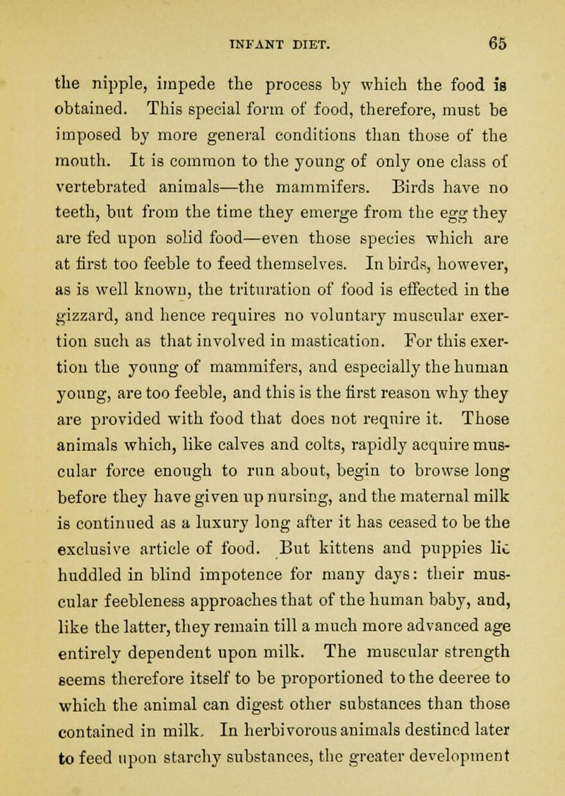 the nipple, impede the process by which the food is obtained. This special form of food, therefore, must be imposed by more general conditions than those of the mouth. It is common to the young of only one class of vertebrated animals—the marnmifers. Birds have no teeth, but from the time they emerge from the egg they are fed upon solid food—even those species which are at iirst too feeble to feed themselves. In birds, however, as is well known, the trituration of food is effected in the gizzard, and hence requires no voluntary muscular exer- tion such as that involved in mastication. For this exer- tion the young of marnmifers, and especially the human young, are too feeble, and this is the first reason why they are provided with food that does not require it. Those animals which, like calves and colts, rapidly acquire mus- cular force enough to run about, begin to browse long before they have given up nursing, and the maternal milk is continued as a luxury long after it has ceased to be the exclusive article of food. But kittens and puppies Ho huddled in blind impotence for many days: their mus- cular feebleness approaches that of the human baby, and, like the latter, they remain till a much more advanced age entirely dependent upon milk. The muscular strength Bcems therefore itself to be proportioned to the decree to which the animal can digest other substances than those contained in milk. In herbivorous animals destined later to feed upon starchy substances, the greater development