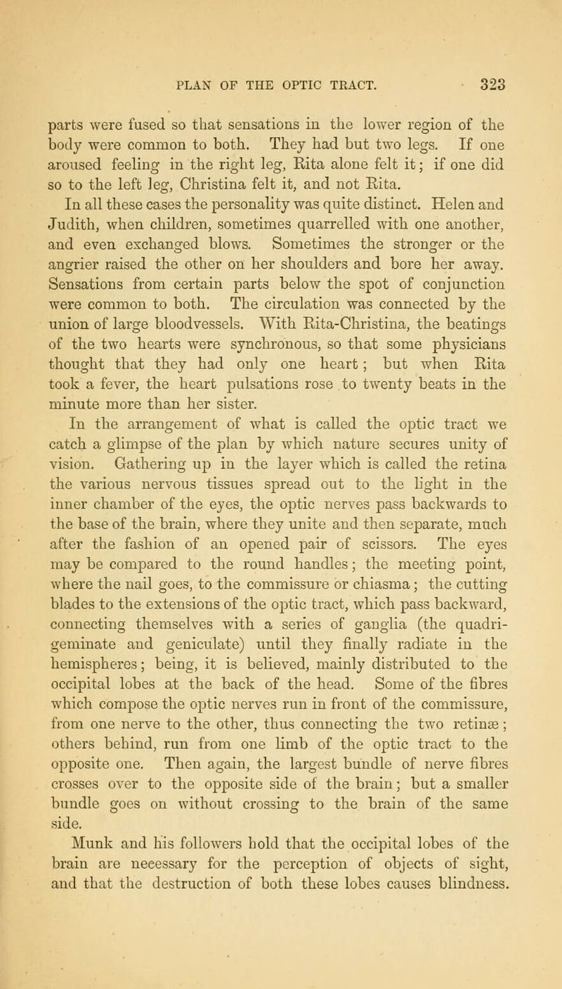 parts were fused so that sensations in the lower region of the body were common to both. They had but two legs. If one aroused feeling in the right leg, Rita alone felt it; if one did so to the left leg, Christina felt it, and not Rita. In all these cases the personality was quite distinct. Helen and Judith, when children, sometimes quarrelled with one another, and even exchanged blows. Sometimes the stronger or the angrier raised the other on her shoulders and bore her away. Sensations from certain parts below the spot of conjunction were common to both. The circulation was connected by the union of large bloodvessels. With Rita-Christina, the beatings of the two hearts were synchronous, so that some physicians thought that they had only one heart; but when Rita took a fever, the heart pulsations rose to twenty beats in the minute more than her sister. In the arrangement of what is called the optic tract we catch a glimpse of the plan by which nature secures unity of vision. Gathering up in the layer which is called the retina the various nervous tissues spread out to the light in the inner chamber of the eyes, the optic nerves pass backwards to the base of the brain, where they unite and then separate, much after the fashion of an opened pair of scissors. The eyes may be compared to the round handles; the meeting point, where the nail goes, to the commissure or chiasma; the cutting blades to the extensions of the optic tract, which pass backward, connecting themselves with a series of ganglia (the quadri- geminate and geniculate) until they finally radiate in the hemispheres; being, it is believed, mainly distributed to the occipital lobes at the back of the head. Some of the fibres which compose the optic nerves run in front of the commissure, from one nerve to the other, thus connecting the two retinae; others behind, run from one limb of the optic tract to the opposite one. Then again, the largest bundle of nerve fibres crosses over to the opposite side of the brain; but a smaller bundle goes on without crossing to the brain of the same side. Munk and his followers hold that the occipital lobes of the brain are necessary for the perception of objects of sight, and that the destruction of both these lobes causes blindness.
