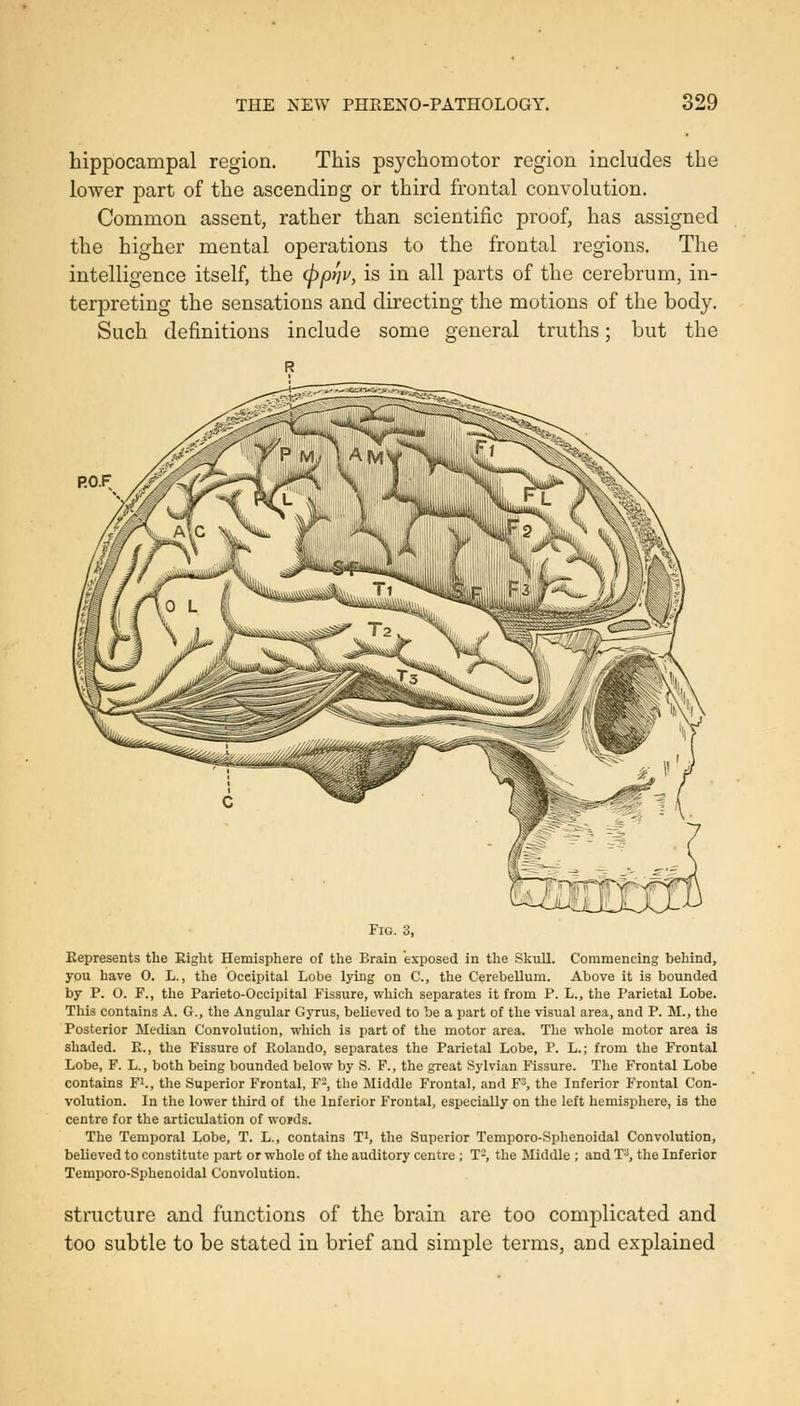 hippocampal region. This psychomotor region includes the lower part of the ascending or third frontal convolution. Common assent, rather than scientific proof, has assigned the higher mental operations to the frontal regions. The intelligence itself, the (pp^v, is in all parts of the cerebrum, in- terpreting the sensations and directing the motions of the body. Such definitions include some general truths: but the Fig. 3, Represents the Eight Hemisphere of the Brain exposed in the Skull. Commencing behind, you have O. L., the Occipital Lobe lying on C, the Cerebellum. Above it is bounded by P. O. F., the Parieto-Occipital Fissure, which separates it from P. L., the Parietal Lobe. This contains A. G., the Angular Gyrus, believed to be a part of the visual area, and P. M., the Posterior Median Convolution, which is part of the motor area. The whole motor area is shaded. E., the Fissure of Eolando, separates the Parietal Lobe, P. L.; from the Frontal Lobe, F. L., both being bounded below by S. F., the great S3'lvian Fissure. The Frontal Lobe contains Pi., the Superior Frontal, F-, the Middle Frontal, and F^, the Inferior Frontal Con- volution. In the lower third of the Inferior Frontal, especially on tlie left hemisphere, is the centre for the articulation of words. The Temporal Lobe, T. L., contains T', the Superior Temporo-Sphenoidal Convolution, believed to constitute part or whole of the auditory centre ; T-, the Middle ; and T^, the Inferior Temporo-Sphenoidal Convolution. structure and functions of the brain are too complicated and too subtle to be stated in brief and simple terms, and explained