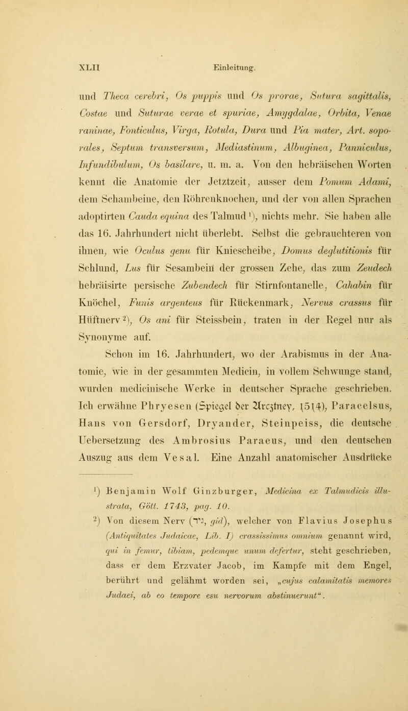 und Theca cerehri, Os puppis imd Os j^t'oixie, Sutura sagittalis, Costae und Suturae uerae et spuriae, Amygdalae, Orbita, Venae raninae, Fonticulus, Virga, Rotula, Dura und Pia mater, Art. sopo- rales, Septum transversum, Mediastinum, Albuginea, Panniculus, Infundihulum, Os hasilare, u. m. a. Von den he))räischen Worten kennt die Anatomie der Jetztzeit, ausser dem Pomum Adami, dem Schambeine, den Röhrenknochen, und der von allen Sprachen adoptirten Cauda eqidna des Talmud '), nichts mehr. Sie haben alle das 16. Jahrhundert nicht überlebt. Selbst die gebrauchteren von ihnen, ^vie Oculus genu für Kniescheibe, Domus deglutitionis für Schlund, Lus für Sesambeiü der grossen Zehe, das zum Zeudech hebräisirte persische Zubendech für Stirnfontanelle. Cahabin für Knöchel, Funis argenteus für Rückenmark, Nervus crassus für Hüftnerv'■^'i, Os ani für Steissbein, traten in der Regel nur als Synonyme auf. Schon im 16. Jahrhundert, wo der Arabismus in der Ana- tomie, wie in der gesammten Medicin, in vollem Schwünge stand, wurden medicinische Werke in deutscher Sprache geschrieben. Ich erwähne Phryesen (Spiegel ber ^ic^inty, \5\^), Paracelsus, Haus von Gersdorf, Dryander, Steinpeiss, die deutsche Uebersetzung des Ambrosius Paraeus, und den deutschen Auszug aus dem Vesal. Eine Anzahl anatomischer Ausdrücke ') Uenjamin Wolf Ginzburger, Medicina ex Talmudicis illu- strata, Gott. 1743, pag. 10. '^) Von diesem Nerv (T*-, ^iV/), welcher von Flavius Josephus (Antiquitates Judaicae, Lib. I) crassissimu.s omnium genannt wird, qui in femur, tibiam, pedemque unwm dcfertur, steht geschrieben, dass er dem Erzvater Jacob, im Kampfe mit dem Engel, berührt und gelähmt worden sei, „cujus calamitatis memores Judati, ab eo tempore esu nervorum abstinuerunt'^.