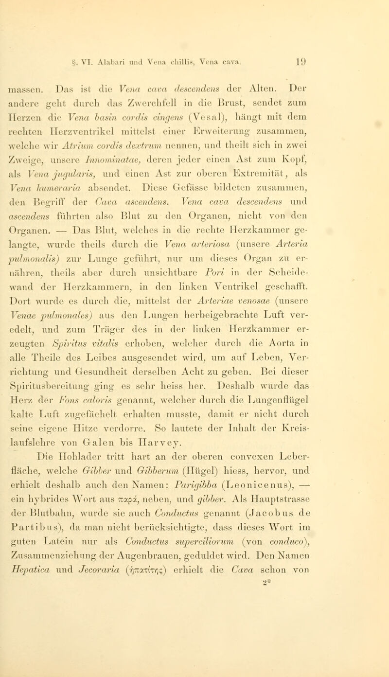 masscn. Das ist die Vena aiva descendens der Alten. Der andere gelit dureli das Zwerchfell in die Brust, sendet zum TTerzeu die Vena hasin cordis cingens (Vesal), hängt mit dem rechten Herzventrikcl mittelst einer Erweiterung zusammen, welche wir Atrium cordis dextrum nennen, und theilt sich in zwei Zweige, unsere Jnnominatae^ deren jeder einen Ast zum Kopf, als Vena jugidaris, und einen Ast zur oberen Extremität, als Vena liumeraria absendet. Diese Gefässe bildeten zusammen, den Begriff der Cava ascendens. Vena cava descendens und ascendens führten also Blut zu den Organen, nicht von den Organen. — Das Blut, welches in die rechte Herzkammer ge- langte, wurde theils durch die Vena arteriosa (unsere Arteria jmimonah's) zur Lunge geführt, nur um dieses Organ zu er- nähren, theils aber durch unsichtbare Fori in der Scheide- wand der Herzkammern, in den linken Ventrikel geschafft. Dort wurde es durch die, mittelst der Arteriae venosae (unsere Venae indmonales) aus den Lungen herbeigebrachte Luft ver- edelt, und zum Träger des in der linken Herzkammer er- zeugten Spiritus vitalis erhoben, welcher durch die Aorta in alle Theile des Leibes ausgesendet ward, um auf Leben, Ver- richtung und Gesundheit derselben Acht zu geben. Bei dieser Spiritusbereitung ging es sehr heiss her. Deshalb wurde das Herz der Föns caloris genannt, welcher durch die Lungenflügel kalte Luft zugefächelt erhalten musste, damit er nicht durch seine eigene Hitze verdorre. So lautete der Inhalt der Kreis- laufslehre von Galen bis Harvey. Die Hohlader tritt hart an der oberen convexen Leber- fläche, welche Gibher und Gihherum. (Hügel) hiess, hervor, und erhielt deshalb auch den Namen: Parigihha (Leonicenus), — ein hybrides Wort aus Trapa, neben, und gihher. Als Hauptstrasse der Blutbahn, wurde sie auch Conductus genannt (Jacobus de Partibus), da man nicht berücksichtigte, dass dieses Wort im guten Latein nur als Conductus superciliorum (von conduco), Zusammenziehung der Augenbrauen, gediildet wird. Den Namen Hepatica und Jecoraria (rj-atiT/;;) erhielt die Cava schon von 2*