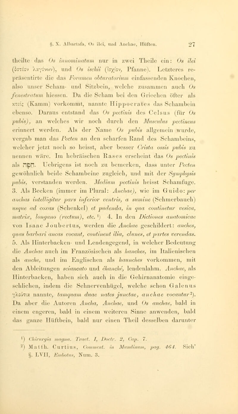 tlicilte das Os iunominatum nur in zwei Tlicilc ein: Os ilei (oaxiov Xavivcov), und Os ischii (loyiov, Pianno). Lctztorus rc- präsentirtc die das Foramen obturatorium einfassenden Knochen, also unser Schani- und Sitzbein, welche zusammen auch Os fenestratiim hiesscn. Da die Scham bei den Griechen öfter als y.Tci; (Kamm) vorkommt, nannte Hippocrates das Schambein ebenso. Daraus entstand das Os pectinis des Celsus (für Os puhis), an welches wir noch durch den Musculus pectineus erinnert werden. Als der Name Os puhis allgemein wurde, vergab man das Pecten an den scharfen Rand des Schambeins, welcher jetzt noch so heisst, aber besser Crista ossis puhis zu nennen wäre. Im hebräischen Ras es erscheint das Os pectinis als Tl^'Tl- Uebrigens ist noch zu bemerken, dass unter Pecten gewöhnlich beide Schambeine zugleich, und mit der Symphysis puhis, verstanden w^erden. Medium pectinis heisst Schamfuge. 3. Als Becken (immer im Plural: Änchae)^ wie im Guido: ^er anclias intelliijitur pars inferior ventris, a sumine (Schmerbauch) iisque ad coxas (Schenkel) et pudenda, in qua continetur vesica, matrix, longano (rectum), etc. ') 4. In den Dictiones anatomicae von Isaac Joubcrtus, werden die Anchae geschildert: ancltes, quas harhari ancas vocant, continent Uta, dunes, et partes verendas. 5. Als Hinterbacken- und Lendengegend, in welcher Bedeutung die Anchae auch im Französischen als hanches, im Italienischen als anclie, und im Englischen als hcmnches vorkommen, mit den Ableitungen sciancato und ehanche, lendenlahm. Anchae^ als Hinterbacken, haben sich auch in die Gehirnanatomie einge- schlichen, indem die Sehnervenhügel, welche schon Galenus -■(hyjx'.y. nannte, tamquam duae nates junctae, anchae vocantur-). Da aber die Autoren Ancha, Anchae, und Os anchae, bald in einem engeren, bald in einem weiteren Sinne anwenden, bald das ganze Hüftbein, bald nur einen Theil desselben darunter ') ('Iu'r(ir(/(a mayiia. Tract. I, Doctr. 2, Cup. 7. 2) Maith. Curtius, Coniincnt. in Mundimuii, pag. 464. Sich' §. LVII, Einhotus, Num. 3.