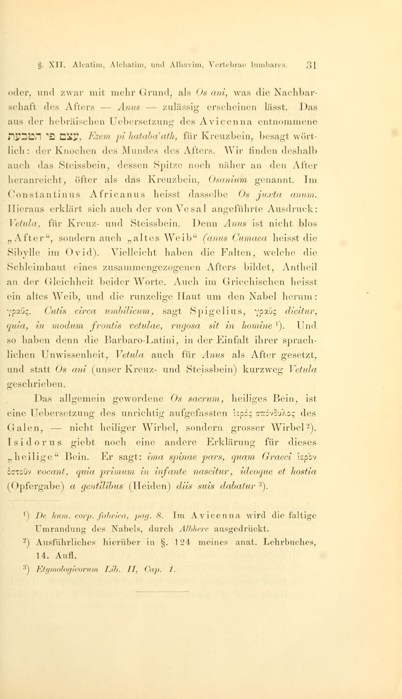 oder, und zwar mit inelir (irund, als Os ani, Avas die Nachbar- scliat't dos Al'tei's — Amis — zulässig crscdicincn lässt. Das aus der hebräischen Uebcrsctzunü; des Aviecnna entnommene nS?DlDn 'S Düp, Kzem pi hatahaatli, für Kreuzbein^ besagt wört- lich : der Knochen des Mundes des Afters. Wir finden dcslialb auch das Steissbein, dessen Spitze noch nälier an den After lieranreiclit^ öfter als das Kreuzbein, Osanium genannt. Im Constantinus Africanus heisst dasselbe Os juxta anum. Hieraus erklärt sich auch der von Vesal angeführte Ausdruck: Vetuhi, für Ki'cnz- und Steissbein. Denn Anus ist nicht blos „After, sondern auch „altes Weib (anus Cumaea heisst die Sibylle im Ovid). Vielleicht haben die Falten, welche die Schleimhaut eines zusammengezogenen Afters bildet, Antheil an der Gleichheit beider Worte. Auch im Griechischen heisst ein altes Weib, und die runzelige Haut um den Nabel herum: ^;py.'Jz. Cutis circa timhilicum^ sagt Spigelius, YpaDc dicifur, quin, in moduni frontis vetulae, 7'ugosa sit in homine '). Und so haben denn die Bai'baro-Ijatini, in der Einfalt ihrer sprach- lichen Unwissenheit, Vetula auch für Anus als After gesetzt, und statt Os ani (unser Kreuz- und Steissbein) kurzweg Vetula geschrieben. Das allgemein gewordene Os sacrum, heiliges Bein, ist eine Uebersetzung des unrichtig aufgefassten Upo; o-^rivo'jAo; des Galen^ — nicht heiliger Wirbel^ sondern grosser Wirbel 2). Isidorus giebt noch eine andere Erklärung für dieses ,, heilige Bein. Er sagt: ima spinae pars, quam, Graeci Upbv ccrxiijv vocant, quia primum in infante nascitur, ideoque et hostia (Opfergabe) a gentiUbus (Heiden) diis suis dahaiur 3). ') De Inun. corp. faln-ica, p'(f/- '^- Iin Avicenna wird die faltige X^mrandung des Nabels, durch Alhhcrc ausgedrückt. 2) Ausführliches hierüber in §. 124 meines anat. Lehrbuches, 14. Aufl. ^) Eft/molofjicorum Lih. II, C'ap. 1.