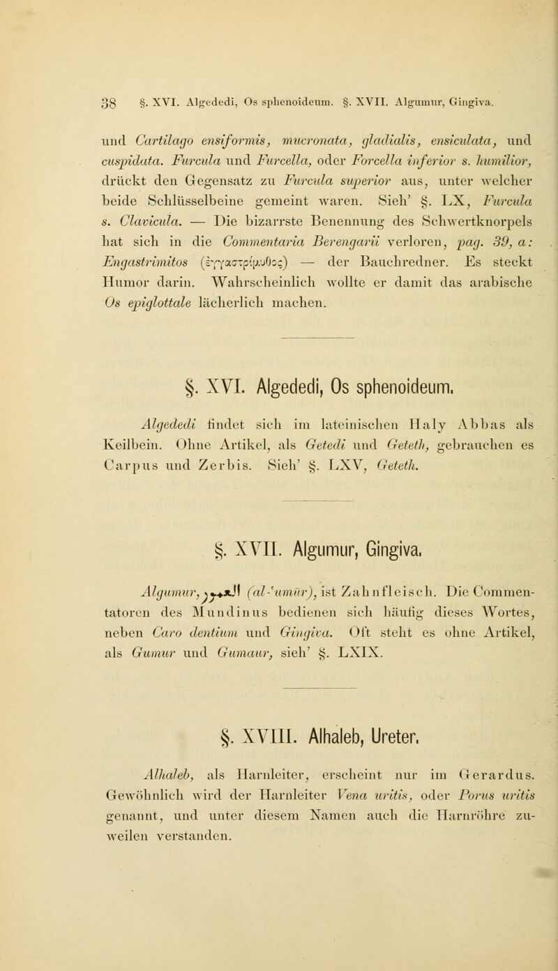 und Cartilago ensiformis, mucronata, gladialis, ensiculata, und cuspidata. Furcula und Furcella, oder Forcella inferior s. Immilior, drückt den Gegensatz zu Furcula superior aus, unter welcher beide Schlüsselbeine gemeint waren. Sieh' §. LX, Furcula s. Clavicula. — Die bizarrste Benennung des Schwertknorpels hat sich in die Commentaria Berengarii verloren, i^^^d- 39, a: Engastrimitos (t(^(xcTpiiJX)(ioq) — der Bauchredner. Es steckt Humor darin. Wahrscheinlich wollte er damit das ai'abische Os epiglottale lächerlich machen. §. XVI. Algededi, Os sphenoideum. Älgededi hndet sich im lateinischen Haly Abbas als Keilbein. Ohne Artikel, als Getedi und Geteth, gebrauchen es Carpus und Zerbis. Sieh' §. LXV, Geteth. §. XVII. Algumur, Gingiva, Älgumur, \y.^x}\ (al-'umRrJy ist Zahnfleisch. Die Commen- tatoren des Mundinus bedienen sich häutig dieses Wortes, neben Caro dentium und Gingiva. Ott steht es ohne Artikel, als Guinur und Gumaur, sieh' §. LXIX. §. XVIII. Alhaleb, Ureter. Alhaleb, als Harnleiter, erscheint nur im Gerardus. Gewöhnlich wird der Harnleiter Vena uritis, oder Porus uritis genannt, und unter diesem Namen auch die Harnröhre zu- weilen verstanden.