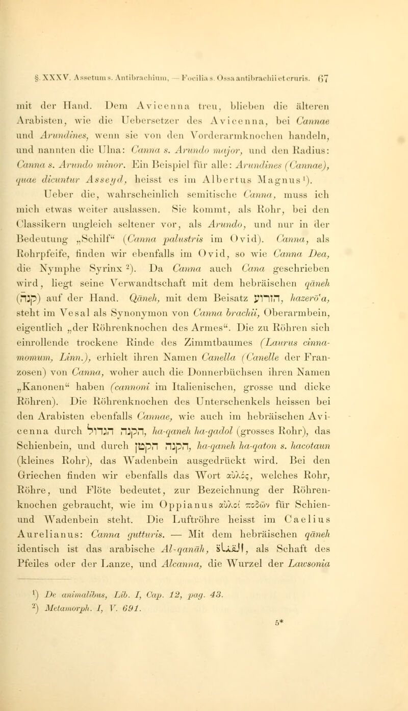 §. XXXV. Assetuius. Antibr;iL-liiuiii, Focilhis. Ossitantihrai-liiietcruris. (JJ mit der Hand. Dem Aviecnuii treu, blieben die älteren Arabisten, wie die Uebersetzer des Avieenna, bei Cannae und Arund'mes, wenn sie von den Vorderarinknoclien handeln, und nannten die Ulna: (Janna s. Anmdo nuijor, \\i\(\ den Radius: Canna s. Arnndo minor. Ein Beispiel für alle: Arundines (Cannae), quae dicuntur Asseijd, heisst es im Albertus Magnus'). üeber die, Avalirsclieinlich semitische Canna, muss ich mich etwas weiter auslassen. Sie kommt, als Rohr, bei den Classikern ungleich seltener vor, als Arnndo, und nur in der Bedeutung „.Schilf {Canna jpalustris im Ovid). Canna, als Rohrpfeife, rinden wir ebenfalls im Ovid, so wie Canna Dea, die Nymphe Syrinx 2). Da Canna auch Cana geschrieben wird, liegt seine Verwandtschaft mit dem hebi-äischen qäneh (f\2p) auf der Hand. Qäneh, mit dem Beisatz PIITH, liazerö'a, steht im Vesal als Synonymon von Canna hrachii, Oberarmbein, eigentlich „der Röhrenknochen des Armes. Die zu Röhren sich einrollende trockene Rinde des Zimmtbaumes (Laurus cinna- momuin^ Linn.), erhielt ihren Namen Canella (Canelle der Fran- zosen) von Canna, woher auch die Donnerbüchsen ihren Namen „Kanonen haben (cannoni im Italienischen, grosse und dicke Röhren). Die Röhrenknochen des Unterschenkels heissen bei den Arabisten ebenfalls Cannae, wie auch im hebräischen Avi- eenna durch ^nun T\'^'pT\, ha-qaneli ha-gadol (grosses Rohr), das Schienbein, und durch itOpri Hipri, lia-qaneh ha-qaton s. hacotaun (kleines Rohr), das Wadenbein ausgedrückt Avird. Bei den Griechen finden wir ebenfalls das Wort tjköc, welches Rohr, Röhre, und Flöte bedeutet, zur Bezeichnung der Röhren- knochen gebraucht, wie im Oppianus auXci r.o^Gyv für Schien- und Wadenbein steht. Die Luftröhre heisst im Caelius Aurelianus: Canna gutturis. — Mit dem hebräischen qäneh identisch ist das arabische Al-qanäh, »LaäJI, als Schaft des Pfeiles oder der Lanze, und Alcanna, die Wurzel der Laiosonia ^) De animalibus, Lih. I, Cap. 12, pag. 43. 2) Metamorph. I, V. 691. 5*