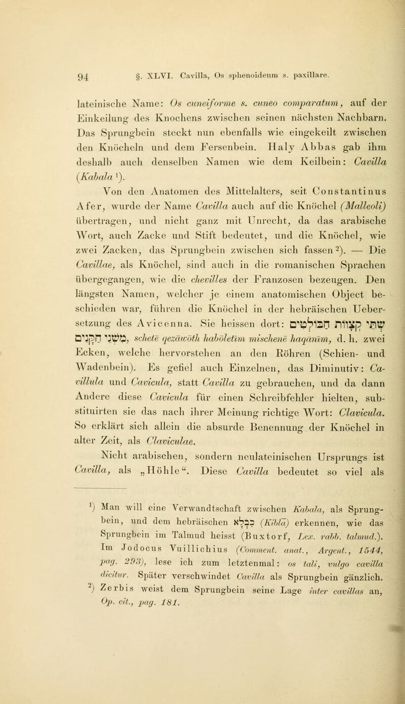 lateinische Name: Os cuneiforme s. cuneo comparatum, auf der Einkeiluno^ des Knochens zwischen seinen nächsten Nachbarn. Das Sprungbein steckt nun ebenfalls wie eingekeilt zwischen den Knöcheln und dem Fersenbein. Haly Abbas gab ihm deshalb auch denselben Namen wie dem Keilbein: Cavilla (^Kahala '). Von den Anatomen des Mittelalters, seit Constantinus Afer, wurde der Name Cavilla auch auf die Knöchel (Malleoli) übertragen, und nicht ganz mit Unrecht, da das arabische Wort, auch Zacke und Stift bedeutet, und die Knöchel, wie zwei Zacken, das Sprungbein zwischen sich fassen2). — Die Cavillae, als Knöchel, sind auch in die romanischen Sprachen übergegangen, wie die chevilles der Franzosen bezeugen. Den längsten Namen, welcher je einem anatomischen Object be- schieden war, führen die Knöchel in der hebräischen Ueber- setzung des Avicenna. Sie heissen dort: D''lo'pl3ri rilliCp ■'iHtT D'']|^rf ''JtS^Ö, schete qezäwöth hahöletlm mischene haqanlm, d. h, zwei Ecken, welche hervorstehen an den Röhren (Schien- und Wadenbein). Es gefiel auch Einzelnen, das Diminutiv: Ca- villula und Cavicula, statt Cavilla zu gebrauchen, und da dann Andere diese Cavicula für einen Schreibfehler hielten, sub- stituirten sie das nach ihrer Meinung richtige Wort: Clavicula. So erklärt sich allein die absurde Benennung der Knöchel in alter Zeit, als Claviculae. Nicht arabischen, sondern neulateinischen Ursprungs ist Cavilla, als „Höhle. Diese Cavilla bedeutet so viel als 1) Man will eine Verwandtschaft zwischen Kahala, als Sprung- bein, und dem hebräischen xbSp (Kihlä) erkennen, wie das Sprungbein im Talmud heisst (Buxtorf, Lex. rabb. talmud.). Im Jodocus Vuillichius (Comment. anat., Argent., 1544, pa<j. 203), lese ich zum letztenmal: os tall, vnlgo cavilla divitur. Später verschwindet Cavilla als Sprungbein gänzlich. ) Zerbis weist dem Sprungbein seine Lage inter cavillas an, Ojj. cit., XHig. 181.