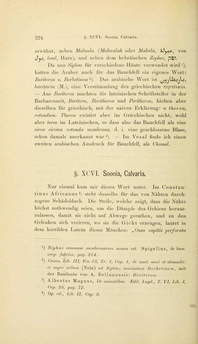 erwähnt, neben Mabuela (Mahwalah oder Mabüla, sJ^lki, von J.J, haul^ Harn), und neben dem hebräischen Zephec, pST. Da nun Siphac für verschiedene Häute verwendet wird '), hatten die Araber auch für das Bauchfell ein eigenes Wort: Beriteron s. Berhetinem'^). Das arabische Wort ist jm^vHij^Ü, bärltärön (M,), eine Verstümmlung des griechischen ■äspiTÖvaiov. — Aus Beriteron machten die lateinischen Schriftsteller in der Barbarenzeit, Beriteru, Beritlieron und Peritheron, hielten aber dieselben für griechisch, mit der naiven Erklärung: a theron^ rotundum. Theron existirt aber im Griechischen nicht, wohl aber teres im Lateinischen, so dass also das Bauchfell als eine circa circum rotunda membrana, d. i. eine geschlossene Blase, schon damals anerkannt war 3). — Im Vesal finde ich einen zweiten arabischen Ausdruck für Bauchfell, als Chamel. §. XCVI. Soonia, Calvaria. Nur einmal kam mir dieses Wort unter. Im Constan- tinus Africanus^) steht dasselbe für das von Nähten durch- zogene Schädeldach, Die Stelle,, welche zeigt, dass die Nähte höchst nothwendig seien, um die Dämpfe des Gehirns heraus- zulassen, damit sie nicht auf Abwege gerathen, und zu den Gelenken sich verirren, wo sie die Gicht erzeugen, lautet in dem horriblen Latein dieses Mönches: „Ossa capitis perforata ') Siphac commune membranarum nomen est. Spigelius, de lium. corp. fabrica, pag. 214. 2) Canon, Lib. III, Fen 13, Tr. 1, Cap. 1, de anat. meri et stomachi: et super zirbum (Netz) est Sipliac, aominatum Berbetinem, mit der Kanduote von A. Bellunensis: Beriteron. 3) Albertus Magnus, De animalibus. Edit. Lugd., T. VI, Lib. I, Cap. 25, pag. 72. ^) Op. dt.. Üb. II, Cap. 3.