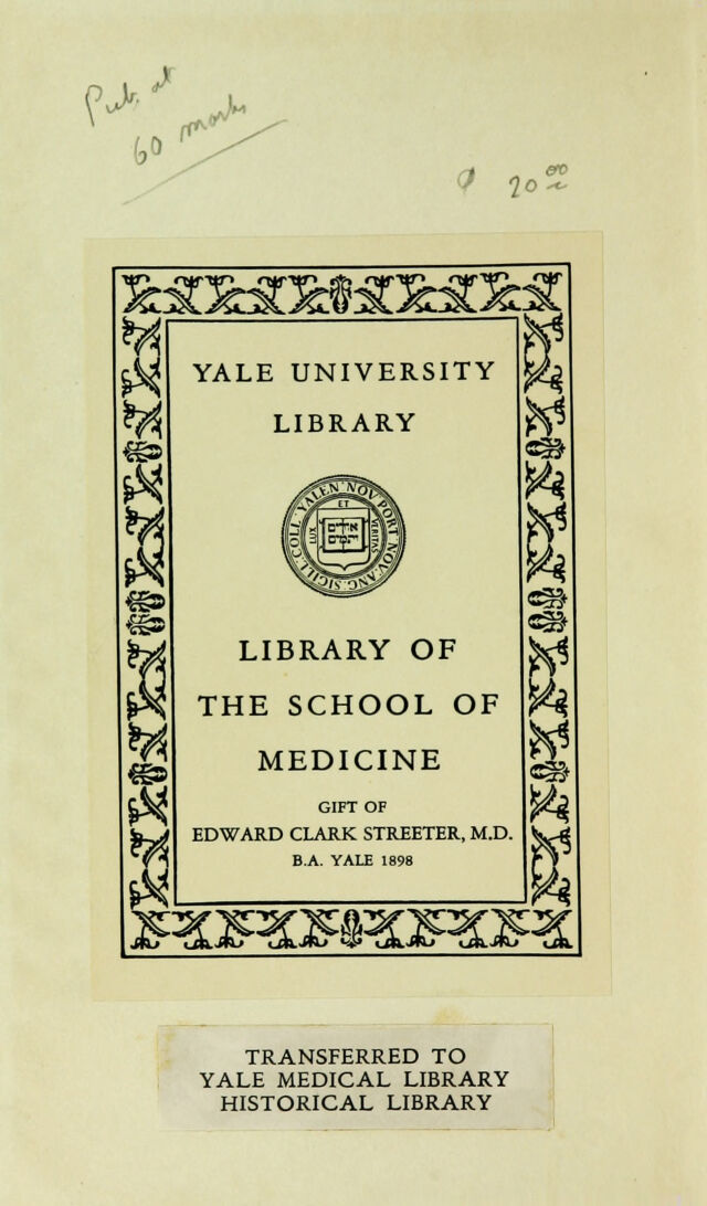 digitised image 2