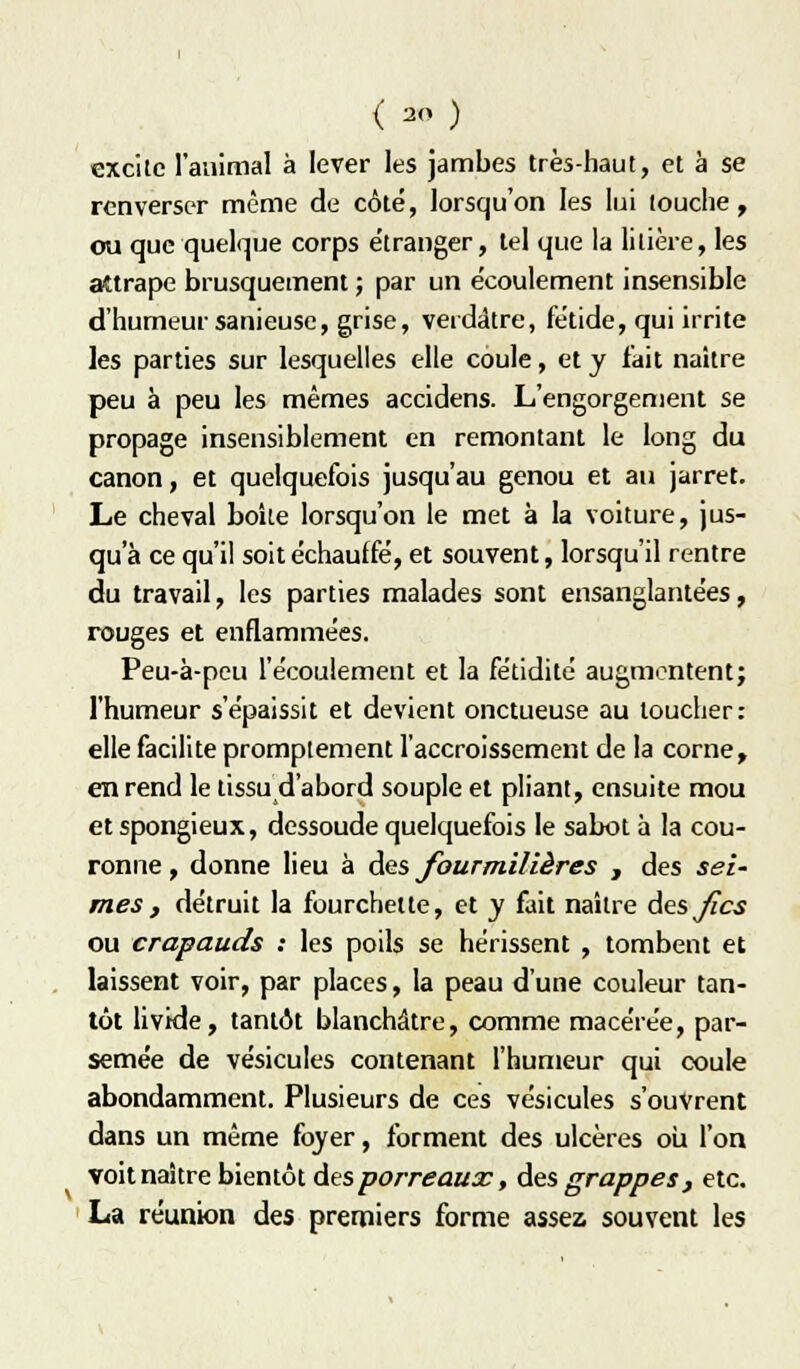 excite l'animal à lever les jambes très-haut, et à se renverser même de côté, lorsqu'on les lui louche , ou que quelque corps étranger, tel que la litière, les attrape brusquement ; par un écoulement insensible d'humeur sanieuse, grise, verdâtre, fétide, qui irrite les parties sur lesquelles elle coule, et y lait naître peu à peu les mêmes accidens. L'engorgement se propage insensiblement en remontant le long du canon, et quelquefois jusqu'au genou et au jarret. Le cheval boite lorsqu'on le met à la voiture, jus- qu'à ce qu'il soit échauffé, et souvent, lorsqu'il rentre du travail, les parties malades sont ensanglantées, rouges et enflammées. Peu-à-pcu l'écoulement et la fétidité augmentent; l'humeur s'épaissit et devient onctueuse au loucher: elle facilite prompiement l'accroissement de la corne, en rend le tissu d'abord souple et pliant, ensuite mou et spongieux, dessoude quelquefois le sabot à la cou- ronne , donne lieu à des fourmilières , des sei' mes, détruit la fourchette, et y fait naître des^c^ ou crapauds : les poils se hérissent , tombent et laissent voir, par places, la peau d'une couleur tan- tôt livide, tantôt blanchâtre, comme macérée, par- semée de vésicules contenant l'humeur qui coule abondamment. Plusieurs de ces vésicules s'ouvrent dans un même foyer, forment des ulcères où l'on voit naître bientôt des porreaucc, des grappes, etc. La réunion des premiers forme assez souvent les