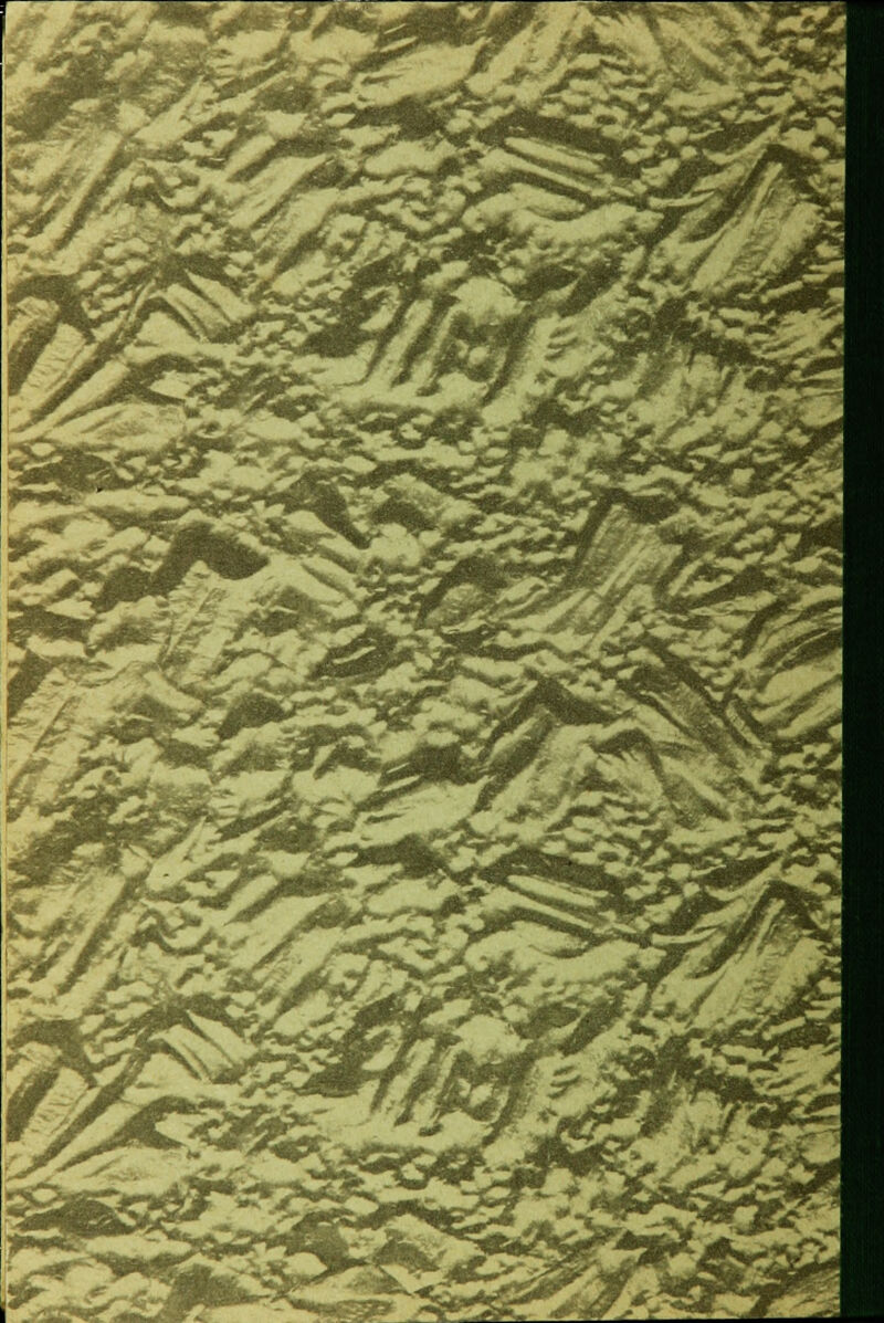 f ^^fe^v^ i*^??£ , Htf^l**iB^^ ^g 0&&G&r^:wmirZ a^A^^mf '.;, 3^* a*g