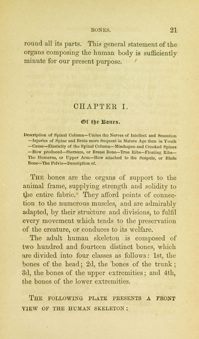 round all its parts. This general statement of the organs composing the human body is sufficiently minute for our present purpose. CHAPTEK I. <5H tljc 2JOUC0. Description of Spinal Column—Unites Iho Nerves of Intellect and Sensation —Injuries of Spine and Brain more frequent in .Mature Age than in Youth —Cause—Elasticity of the Spinal Columu—MiBshapen and Crooked Spines —How produced—Sternum, or Breast Bone—True Uibs—Floating Ribs— The Humerus, or Upper Arm—How attached to the Scapula, or Blade Bone—Tho Pelvis—Description of. The bones are the organs of support to the animal frame, supplying strength and solidity to the entire fabric They afford points of connec- tion to the numerous muscles, and are admirably adapted, by their structure and divisions, to fulfil every movement which tends to the preservation of the creature, or conduces to its welfare. The adult human skeleton is composed of two hundred and fourteen distinct bones, which are divided into four classes as follows: 1st, the bones of the head; 2d, the bones of the trunk; 3d, the bones of the upper extremities; and 4th, the bones of the lower extremities. The following plate presents a fkont view of the human skeleton :