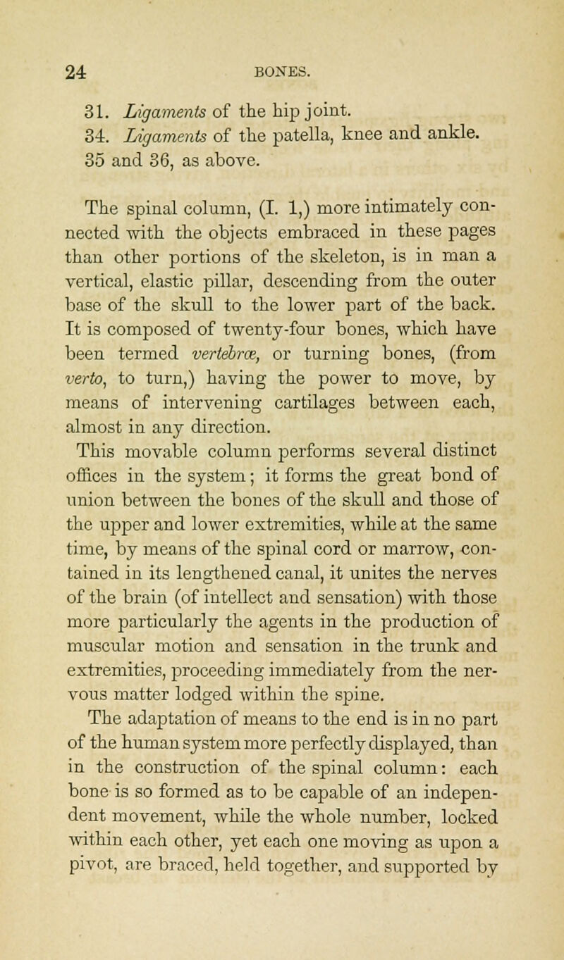 31. Ligaments of the hip joint. 34. Ligaments of the patella, knee and ankle. 35 and 36, as above. The spinal column, (I. 1,) more intimately con- nected with the objects embraced in these pages than other portions of the skeleton, is in man a vertical, elastic pillar, descending from the outer base of the skull to the lower part of the back. It is composed of twenty-four bones, which have been termed vertebra, or turning bones, (from verto, to turn,) having the power to move, by means of intervening cartilages between each, almost in any direction. This movable column performs several distinct offices in the system; it forms the great bond of union between the bones of the skull and those of the upper and lower extremities, while at the same time, by means of the spinal cord or marrow, con- tained in its lengthened canal, it unites the nerves of the brain (of intellect and sensation) with those more particularly the agents in the production of muscular motion and sensation in the trunk and extremities, proceeding immediately from the ner- vous matter lodged within the spine. The adaptation of means to the end is in no part of the human system more perfectly displayed, than in the construction of the spinal column: each bone is so formed as to be capable of an indepen- dent movement, while the whole number, locked within each other, yet each one moving as upon a pivot, are braced, held together, and supported by