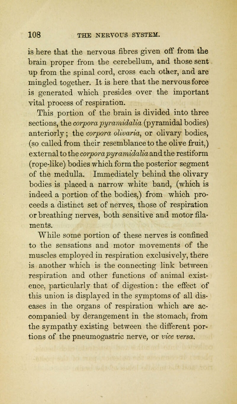 is here that the nervous fibres given off from the brain proper from the cerebellum, and those sent up from the spinal cord, cross each other, and are mingled together. It is here that the nervous force is generated which presides over the important vital process of respiration. This portion of the brain is divided into three sections, the corpora pyramidalia (pyramidal bodies) anteriorly; the corpora olivaria, or olivary bodies, (so called from their resemblance to the olive fruit,) external to the corpora pyramidalia and the restiform (rope-like) bodies -which form the posterior segment of the medulla. Immediately behind the olivary bodies is placed a narrow white band, (which is indeed a portion of the bodies,) from which pro- ceeds a distinct set of nerves, those of respiration or breathing nerves, both sensitive and motor fila- ments. While some portion of these nerves is confined to the sensations and motor movements of the muscles employed in respiration exclusively, there is another which is the connecting link between respiration and other functions of animal exist- ence, particularly that of digestion: the effect of this union is displayed in the symptoms of all dis- eases in the organs of respiration which are ac- companied by derangement in the stomach, from the sympathy existing between the different por- tions of the pneumogastric nerve, or vice versa.