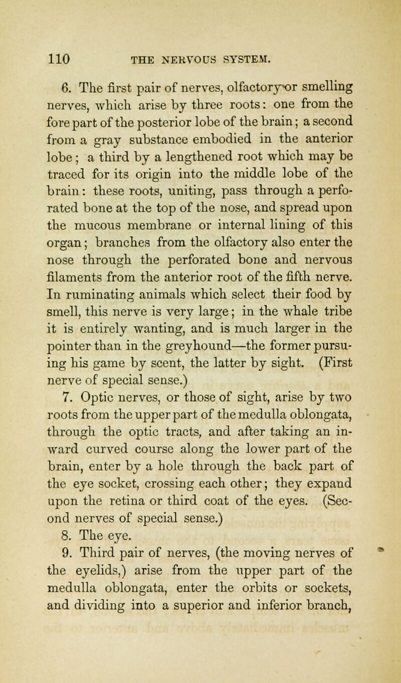6. The first pair of nerves, olfactoryx)r smelling nerves, which arise by three roots: one from the fore part of the posterior lobe of the brain; a second from a gray substance embodied in the anterior lobe; a third by a lengthened root which may be traced for its origin into the middle lobe of the brain: these roots, uniting, pass through a perfo- rated bone at the top of the nose, and spread upon the mucous membrane or internal lining of this organ; branches from the olfactory also enter the nose through the perforated bone and nervous filaments from the anterior root of the fifth nerve. In ruminating animals which select their food by smell, this nerve is very large; in the whale tribe it is entirely wanting, and is much larger in the pointer than in the greyhound—the former pursu- ing his game by scent, the latter by sight. (First nerve of special sense.) 7. Optic nerves, or those of sight, arise by two roots from the upper part of the medulla oblongata, through the optic tracts, and after taking an in- ward curved course along the lower part of the brain, enter by a hole through the back part of the eye socket, crossing each other; they expand upon the retina or third coat of the eyes. (Sec- ond nerves of special sense.) 8. The eye. 9. Third pair of nerves, (the moving nerves of the eyelids,) arise from the upper part of the medulla oblongata, enter the orbits or sockets, and dividing into a superior and inferior branch,