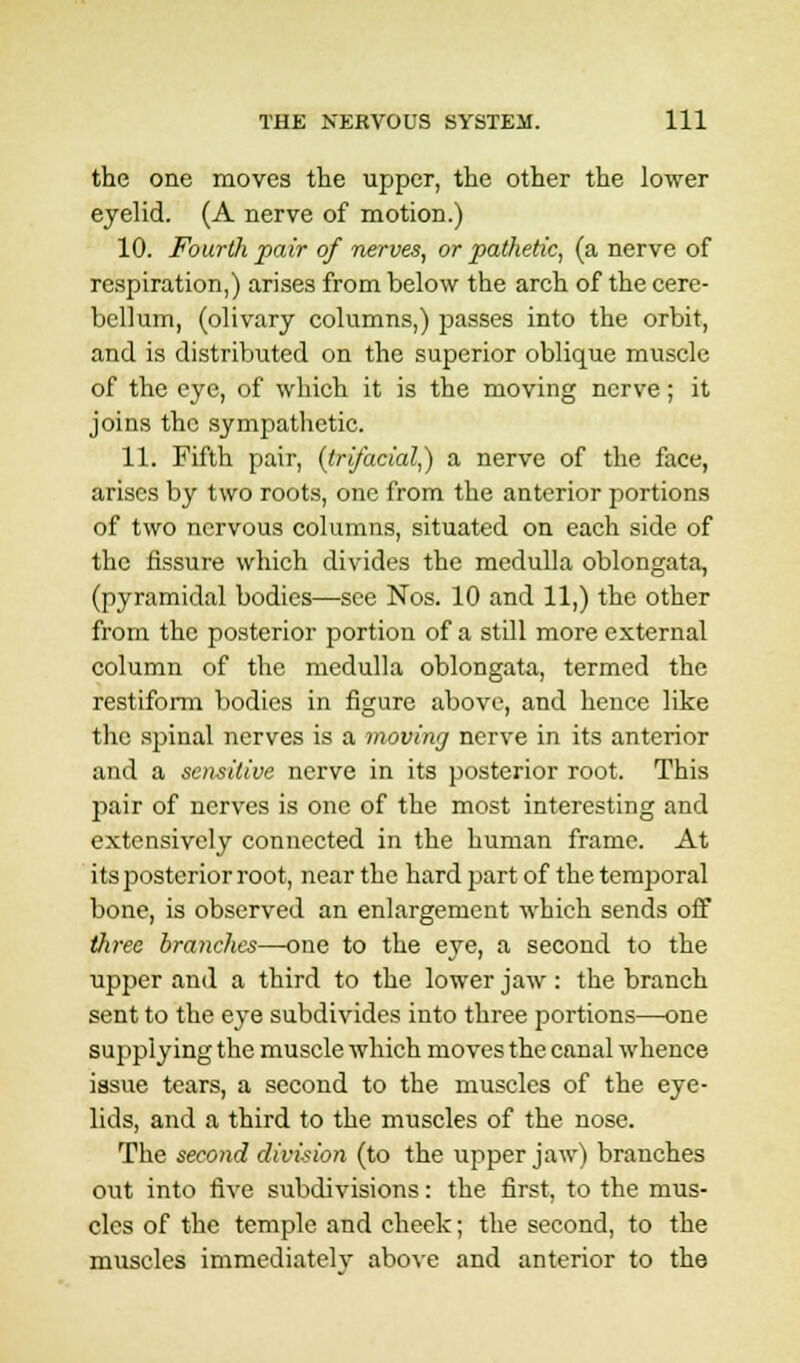 the one moves the upper, the other the lower eyelid. (A nerve of motion.) 10. Fourth pair of nerves, or pathetic, (a nerve of respiration,) arises from below the arch of the cere- bellum, (olivary columns,) passes into the orbit, and is distributed on the superior oblique muscle of the eye, of which it is the moving nerve; it joins the sympathetic. 11. Fifth pair, (trifacial,) a nerve of the face, arises by two roots, one from the anterior portions of two nervous columns, situated on each side of the fissure which divides the medulla oblongata, (pyramidal bodies—see Nos. 10 and 11,) the other from the posterior portion of a still more external column of the medulla oblongata, termed the restiform bodies in figure above, and hence like the spinal nerves is a moving nerve in its anterior and a sensitive nerve in its posterior root. This pair of nerves is one of the most interesting and extensively connected in the human frame. At its posterior root, near the hard part of the temporal bone, is observed an enlargement which sends off three branches—one to the eye, a second to the upper and a third to the lower jaw : the branch sent to the eye subdivides into three portions—one supplying the muscle which moves the canal whence issue tears, a second to the muscles of the eye- lids, and a third to the muscles of the nose. The second division (to the upper jaw) branches out into five subdivisions: the first, to the mus- cles of the temple and cheek; the second, to the muscles immediately above and anterior to the