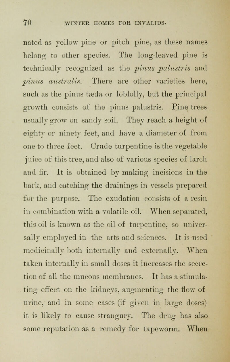 nated as yellow pine or pitch pine, as these names belong to other species. The long-leaved pine is technically recognized as the pinus palustris and pinus australis. There are other varieties here, such as the pinus tseda or loblolly, but the principal growth consists of the pinus palustris. Pine trees usually grow on sandy soil. They reach a height of eighty or ninety feet, and have a diameter of from one to three feet. Crude turpentine is the vegetable juice of this tree, and also of various species of larch and fir. It is obtained by making incisions in the bark, and catching the drainings in vessels prepared for the purpose. The exudation consists of a resin in combination with a volatile oil. When separated, this oil is known as the oil of turpentine, so univer- sally employed in the arts and sciences. It is used medicinally both internally and externally. When taken internally in small doses it increases the secre- tion of all the mucous membranes. It has a stimula- ting effect on the kidneys, augmenting the flow of urine, and in some cases (if given in large doses) it is likely to cause strangury. The drug has also some reputation as a remedy for tapeworm. When