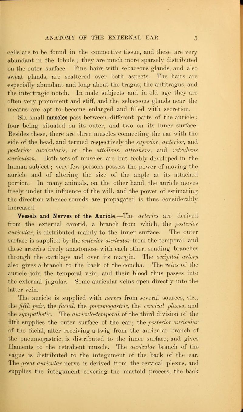 cells are to be found in the connective tissue, and these are very .abundant in the lobule ; they are much more sparsely distril^uted on the outer surface. Fine hairs A\ith sebaceous glands, and also «weat glands, are scattered over both aspects. The hairs are especially abundant and long about the tragus, the antitragus. and the intertragic notch. In male subjects and in old age they are often very prominent and stiff, and the sebaceous glands near the meatus are apt to become enlarged and filled with secretion. Six small muscles pass between different parts of the auricle ; four being situated on its outer, and two on its inner surface. Besides these, there are three muscles connecting the ear with the side of the head, and, termed respectively the superior, cmterior, and posterior auricularis, or the attollens, attrahens, and retraliens iLuriculam. Both sets of muscles are but feebly developed in the human subject; very few persons possess the power of moving the aiiricle and of altering the size of the angle at its attached portion. In many animals, on the other hand, the auricle moves freely under the influence of the will, and the power of estimating the direction whence sounds are propagated is thus considerably increased. Vessels and Nerves of the Auricle.—The arteries are derived from the external carotid, a branch from which, the posterior auricular, is distributed mainly to the inner surface. The outer surface is supplied by the a7iterior auricular from the temporal, and these arteries freely anastomose with each other, sending branches through the cartilage and over its margin. The occipital a/rtenj also gives a branch to the back of the concha. The veins of the auricle join the temporal vein, and their blood thus passes into the external jugular. Some auricular veins open directly into the latter vein. The auricle is supplied with nerves from several sources, viz., the fifth pair, the facial, the pneumogastric, the cervical plexus, and the sijmpatltetic. The auriculo-temporal of the third division of the fifth supplies the outer surface of the ear; the posterior auricular of the facial, after receiving a twig from the auricular branch of the pneumogastric, is distributed to the inner surface, and gives filaments to the retrahent muscle. The auricular branch of the vagus is distributed to the integument of the back of the ear. The ijreat auricular nerve is derived from the cervical plexus, and supplies the integument covering the mastoid process, the back