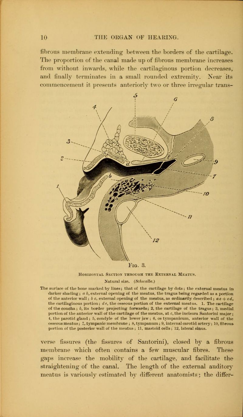 fibrous nieinbrane extending between the borders of the cartilage. The proportion of the canal made up of fibrous membrane increases from without inwards, wliile the cartilaginous portion decreases^ and finally terminates in a small rounded extremity. Near its connnencement it j^resents anteriorly two or three irregular trans- Fig. 3. Horizontal Sectiox through the Exterxal Meatis. Natural size. (Schicalbe.) The surface of the bone marked by lines; that of the cartilage by dots ; the external meatus in darker shading; a b, external opening of the meatus, the tragus being regarded as a portion of the anterior wall; b c. external opening of the meatus, as ordinarily described ; ac-\- cd^ the cartilaginous portion; de, the osseous portion of the external meatus. 1, The cartilage of the concha; b, its border projecting forwards; 2, the cartilage of the tragus; 3, medial portion of the anterior wall of the cartilage of the meatus, at c, the incisura Santorini major; 4, the parotid gland ; -i. condyle of the lower jaw; 6. os tympanicum, anterior wall of the osseous meatus; 7, tympanic membrane ; 8, tympanum; 9, internal carotid arterj-; 10, fibrous portion of the posterior wall of the meatus ; 11, mastoid cells ; 12, lateral sinus. verse fissures (the fissures of Santorini), closed by a fibrous membrane whicli often contains a few muscular fibres. These gaps increase the mobility of the cartilage, and facilitate the straightening of the canal. The length of the external auditory meatus is varioush* estimated by different anatomists ; the differ-
