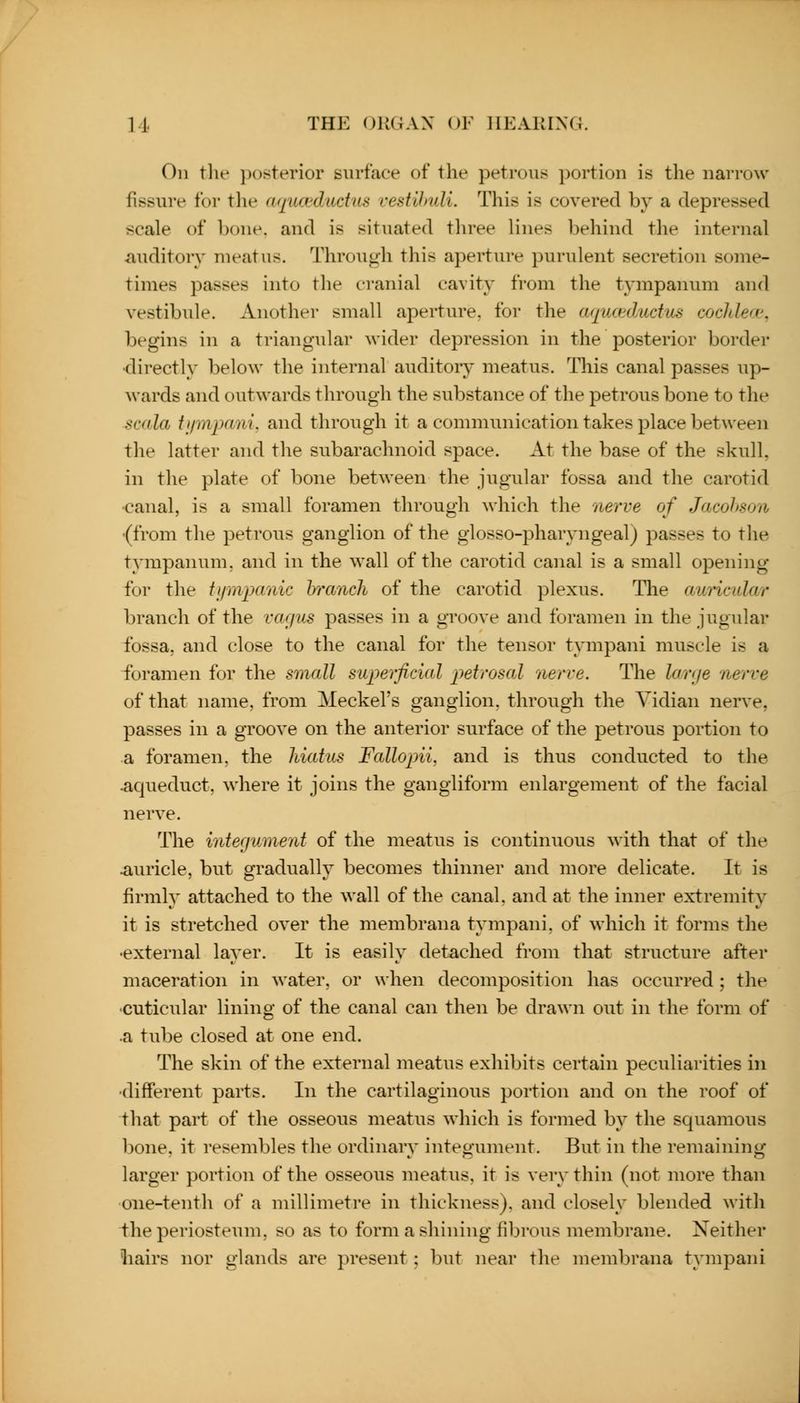 On tlie ])osterior surface of the petrous portion is the narrow fissure for the aquwdttdiis vestihuli. This is covered by a depressed scale of bone, and is situated three lines behind the internal auditory meatus. Through this aperture purulent secretion some- times passes into the cranial cavity from the tympanum and vestibule. Another small aperture, for the afpuedudiis cocldew, begins in a triangular wider depression in the posterior border •directly below the internal auditoiy meatus. This canal passes up- wards and outwards through the substance of the petrous bone to the scala tiimpani. and through it a communication takes place between the latter and the subarachnoid space. At the base of the skull, in the plate of bone between the jugular fossa and the carotid ■canal, is a small foramen through which the nerve of Jacohson •(from the petrous ganglion of the glosso-pharyngeal) passes to the tympanum, and in the wall of the carotid canal is a small opening for the tt/mjKinic h'anch of the carotid plexus. The auricular branch of the vagus passes in a groove and foramen in the jugular fossa, and close to the canal for the tensor tympani muscle is a foramen for the small superficial petrosal nerve. The lanfe nerve of that name, from Meckel's ganglion, through the Vidian nerve, passes in a groove on the anterior surface of the petrous portion to a foramen, the hiatus Falloptii, and is thus conducted to the -aqueduct, where it joins the gangliform enlargement of the facial nerve. The integument of the meatus is continuous with that of the Auricle, but gradually becomes thinner and more delicate. It is firmly attached to the wall of the canal, and at the inner extremity it is stretched over the membrana tympani, of which it forms the •external layer. It is easily detached from that structure after maceration in water, or when decomposition has occurred; the •cuticular lining of the canal can then be drawn out in the form of ■a tube closed at one end. The skin of the external meatus exhibits certain peculiarities in •different parts. In the cartilaginous portion and on the roof of that part of the osseous meatus which is formed by the squamous bone, it resembles the ordinary integument. But in the remaining larger portion of the osseous meatus, it is very thin (not more than one-tenth of a millimetre in thickness), and closely blended with the periosteum, so as to form a shining fibrous membrane. Neither liairs nor glands are present; but near the membrana tympani