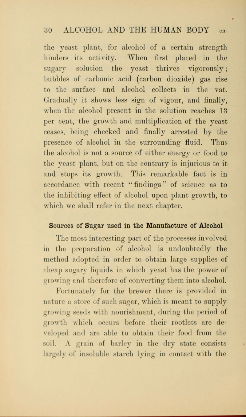 the yeast plant, for alcohol of a certain strength hinders its activity. When first placed in the sugary solution the yeast thrives vigorously; bubbles of carbonic acid (carbon dioxide) gas rise to the surface and alcohol collects in the vat. Gradually it shows less sign of vigour, and finally, when the alcohol present in the solution reaches 13 per cent, the growth and multiplication of the yeast ceases, being checked and finally arrested by the presence of alcohol in the surrounding fluid. Thus the alcohol is not a source of either energy or food to the yeast plant, but on the contrary is injurious to it and stops its growth. This remarkable fact is in accordance with recent  findings of science as to the inhibiting effect of alcohol upon plant growth, to which we shall refer in the next chapter. Sources of Sugar used in the Manufacture of Alcohol The most interesting part of the processes involved in the preparation of alcohol is undoubtedly the method adopted in order to obtain large supplies of cheap sugary liquids in which yeast has the power of growing and therefore of converting them into alcohol. Fortunately for the brewer there is provided in nature a store of such sugar, which is meant to supply growing seeds with nourishment, during the period of growth which occurs before their rootlets are de- veloped and are able to obtain their food from the soil. A grain of barley in the dry state consists largely of insoluble starch lying in contact with the