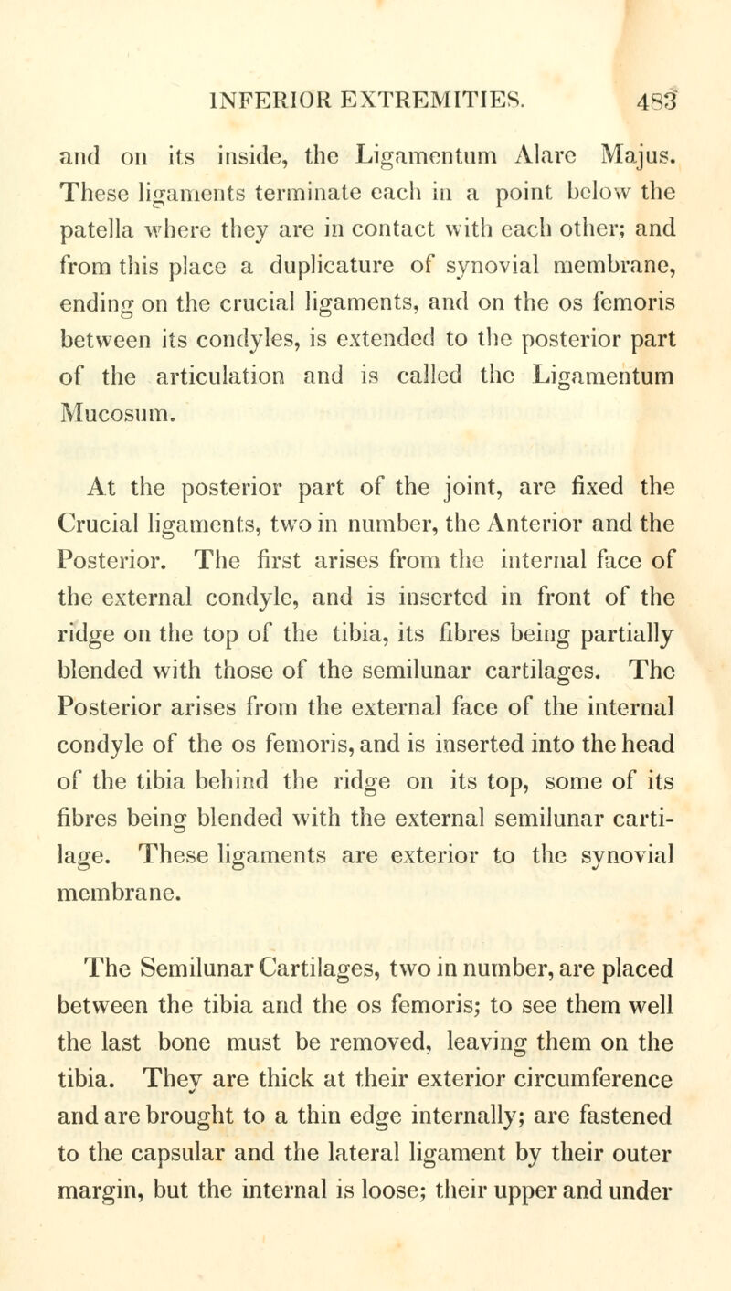 and on its inside, the Ligamentum Alare Majus. These ligaments terminate each in a point below the patella where they are in contact with each other; and from this place a duplicature of synovial membrane, ending on the crucial ligaments, and on the os femoris between its condyles, is extended to the posterior part of the articulation and is called the Ligamentum Mucosum. At the posterior part of the joint, are fixed the Crucial ligaments, two in number, the Anterior and the Posterior. The first arises from the internal face of the external condyle, and is inserted in front of the ridge on the top of the tibia, its fibres being partially blended with those of the semilunar cartilages. The Posterior arises from the external face of the internal condyle of the os femoris, and is inserted into the head of the tibia behind the ridge on its top, some of its fibres being blended with the external semilunar carti- lage. These ligaments are exterior to the synovial membrane. The Semilunar Cartilages, two in number, are placed between the tibia and the os femoris; to see them well the last bone must be removed, leaving them on the tibia. They are thick at their exterior circumference and are brought to a thin edge internally; are fastened to the capsular and the lateral ligament by their outer margin, but the internal is loose; their upper and under