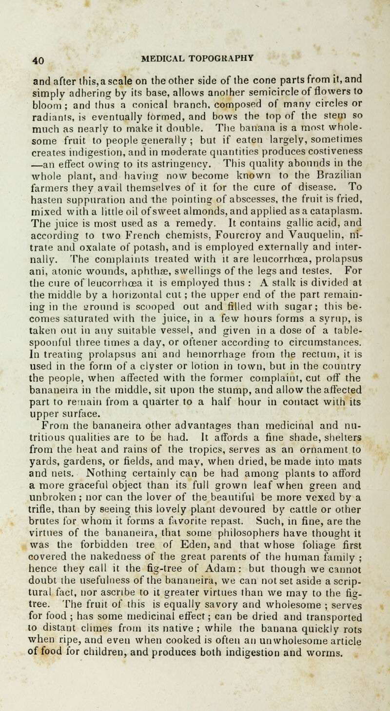 and after this, a scale on the other side of the cone parts from it, and simply adhering by its base, allows another semicircle of flowers to bloom; and thus a conical branch, composed of many circles or radiants, is eventually formed, and bows the top of the stem so much as nearly to make it double. The banana is a most whole- some fruit to people generally ; but if eaten largely, sometimes creates indigestion, and in moderate quantities produces costiveness —an effect owing to its astringency. This quality abounds in the whole plant, and having now become known to the Brazilian farmers they avail themselves of it for the cure of disease. To hasten suppuration and the pointing of abscesses, the fruit is fried, mixed with a little oil of sweet almonds, and applied as a cataplasm. The juice is most used as a remedy. It contains gallic acid, and according to two French chemists, Fourcroy and Vanquelin, ni- trate and oxalate of potash, and is employed externally and inter- nally. The complaints treated with it are leucorrhoea, prolapsus ani, atonic wounds, aphtha?, swellings of the legs and testes. For the cure of leucorrhcea it is employed thus : A stalk is divided at the middle by a horizontal cut; the upper end of the part remain- ing in the around is scooped out and filled with sugar; this be- comes saturated with the juice, in a few hours forms a syrup, is taken out in anv suitable vessel, and given in a dose of a table- spoonful three times a day, or oftener according to circumstances. In treating prolapsus ani and hemorrhage from the rectum, it is used in the form of a clyster or lotion in town, but in the country the people, when affected with the former complaint, cut off the bananeira in the middle, sit upon the stump, and allow the affected part to remain from a quarter to a half hour in contact with its upper surface. From the bananeira other advantages than medicinal and nu- tritious qualities are to be had. It affords a fine shade, shelters from the heat and rains of the tropics, serves as an ornament to yards, gardens, or fields, and may, when dried, be made into mats and nets. Nothing certainly can be had among plants to afford a more graceful object than its full grown leaf when green and unbroken ; nor can the lover of the beautifnl be more vexed by a trifle, than by seeing this lovely plant devoured by cattle or other brutes for whom it forms a favorite repast. Such, in fine, are the virtues of the bananeira, that some philosophers have thought it was the forbidden tree of Eden, and that whose foliage first covered the nakedness of the great parents of the human family ; hence they call it the fig-tree of Adam: but though we cannot doubt the usefulness of the bananeira, we can not set aside a scrip- tural fact, nor ascribe to it greater virtues than we may to the fig- tree. The fruit of this is equally savory and wholesome ; serves for food ; has some medicinal effect; can be dried and transported to distant climes from its native ; while the banana quickly rots when ripe, and even when cooked is often an unwholesome article of food for children, and produces both indigestion and worms.