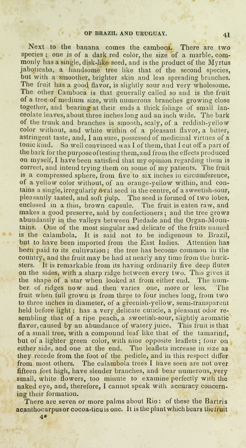 Next to the banana comes the camboca. There are two species ; one is of a dark red color, the size of a marble, com- monly has a single, disk-like seed, and is the product of the Myrtus jaboticaba, a handsome tree like that of the second species, but with a smoother, brighter skin and less spreading branches. The fruit has a good flavor, is slightly sour and very wholesome. The other Camboca is that generally called so and is the fruit of a tree of medium size, with numerous branches growing close together, and bearing at their ends a thick foliage of small lan- ceolate leaves, about three inches long and an inch wide. The bark of the trunk and branches is smooth, scaly, of a reddish-yellow color without, and white within of a pleasant flavor, a bitter, astringent taste, and, I am sure, possessed of medicinal virtues of a tonic kind. So well convinced was I of them, that I cut offa part, of the bark for the purposeof testing them,and from the effects produced on myself, I have been satisfied that my opinion regarding them is correct, and intend trying them on some of my patients. The fruit is a compressed sphere, from five to six inches in circumference, of a yellow color without, of an orange-yellow within, and con- tains a single, irregularly oval seed in the centre, of a sweetish-sour, pleasantly tasted, and soft pulp. The seed is formed of two lobes, enclosed in a thin, brown capsule. The fruit is eaten raw, and makes a good preserve, sold by confectioners; and the tree grows abundantly in the valleys between Piedade and the Organ-Moun- tains. One of the most singular awd delicate of the fruits named is the calambola. It is said not to be indigenous to Brazil, but to have been imported from the East Indies. Attention has been paid to its cultivation; the tree has become common in the country, and the fruit may be had at nearly any time from the huck- sters. It is remarkable from its having ordinarily five deep flutes on the sides, with a sharp ridge between every two. This gives it the shape of a star when looked at from either end. The num- ber of ridges now and then varies one, more or less. The fruit when full grown is from three to four inches long, from two to three inches in diameter, of a greenish-yellow, semi-transparent held before light; has a very delicate cuticle, a pleasant odor re- sembling that of a ripe peach, a sweetish-sour, slightly aromatic flavor, caused by an abundance of watery juice. This fruit is that of a small tree, with a compound leaf like that of the tamarind, but of a lighter green color, with nine opposite leaflets; four on either side, and one at the end. The leaflets increase in size as they recede from the foot of the pedicle, and in this respect differ from most others. The calambola trees I have seen are not over fifteen feet high, have slender branches, and bear numerous, very small, white flowers, too minute to examine perfectly with the naked eye, and, therefore, I cannot speak with accuracy concern- ing their formation. There are seven or more palms about Rio: of these the Bartris acanthocarpusorcocoa-ticuisone. It is the plant which bears the fruit 4*