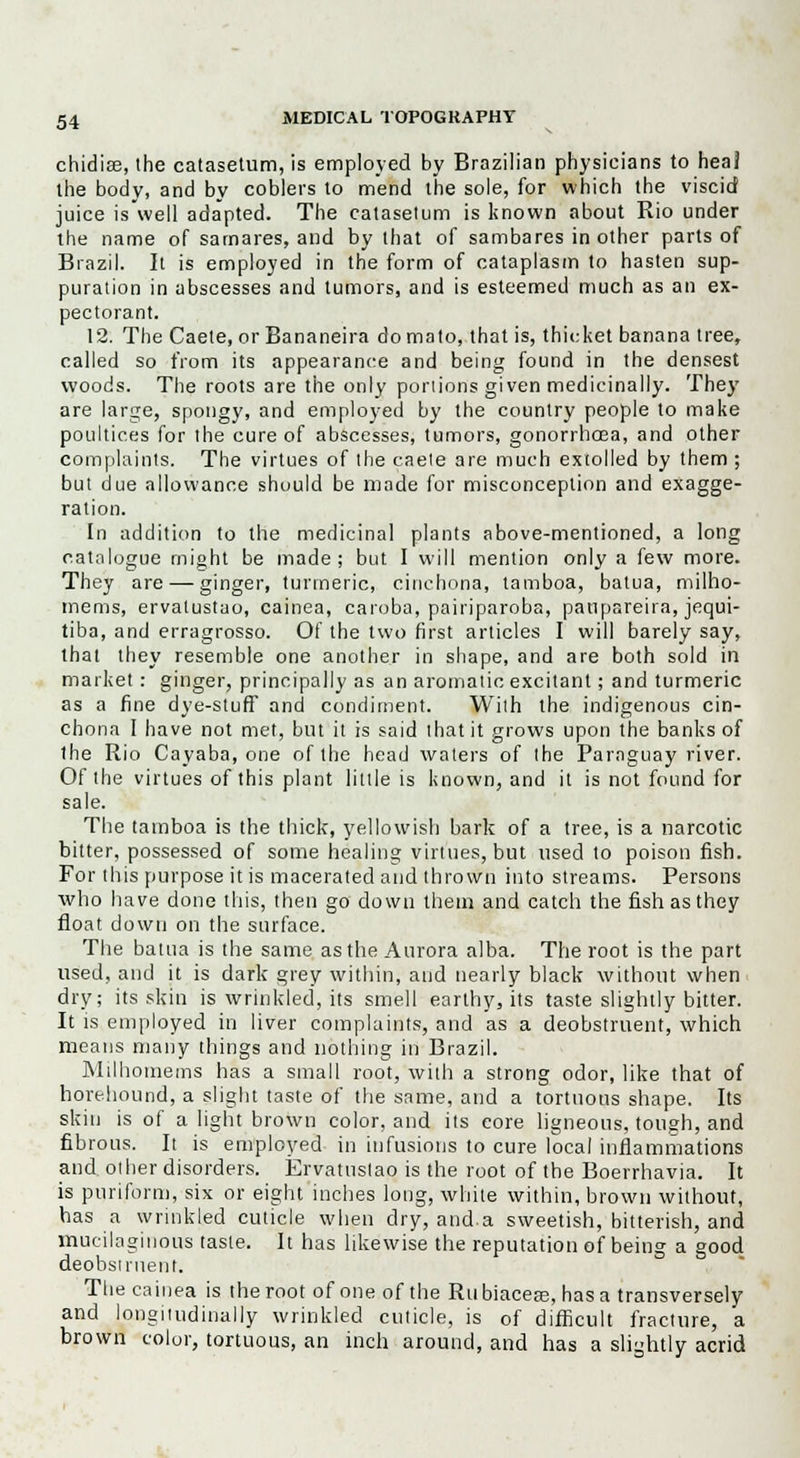 chidise, the catasetum, is employed by Brazilian physicians to heal the body, and by coblers to mend the sole, for which the viscid juice iswell adapted. The catasetum is known about Rio under the name of sarnares, and by that of sambares in other parts of Brazil. It is employed in the form of cataplasm to hasten sup- puration in abscesses and tumors, and is esteemed much as an ex- pectorant. 12. The Caete, or Bananeira do mato, that is, thicket banana tree, called so from its appearance and being found in the densest woods. The roots are the only ponions given medicinally. They are large, spongy, and employed by the country people to make poultices for the cure of abscesses, tumors, gonorrhoea, and other complaints. The virtues of the caete are much extolled by them ; but due allowance should be made for misconception and exagge- ration. In addition to the medicinal plants above-mentioned, a long catalogue might be made; but I will mention only a few more. They are — ginger, turmeric, cinchona, tamboa, batua, milho- mems, ervalustao, cainea, caroba, pairiparoba, panpareira, jequi- tiba, and erragrosso. Of the two first articles I will barely say, that they resemble one another in shape, and are both sold in market : ginger, principally as an aromatic excitant; and turmeric as a fine dye-stuff and condiment. With the indigenous cin- chona I have not met, but it is said that it grows upon the banks of the Rio Cayaba, one of the head waters of the Paraguay river. Of the virtues of this plant little is known, and it is not found for sale. The tamboa is the thick, yellowish bark of a tree, is a narcotic bitter, possessed of some healing virtues, but used to poison fish. For this purpose it is macerated and thrown into streams. Persons who have done this, then go down them and catch the fish as they float down on the surface. The batua is the same as the Aurora alba. The root is the part used, and it is dark grey within, and nearly black without when dry; its skin is wrinkled, its smell earthy, its taste slightly bitter. It is employed in liver complaints, and as a deobstruent, which means many things and nothing in Brazil. Milhomems has a small root, with a strong odor, like that of horehound, a slight taste of the same, and a tortuous shape. Its skin is of a light brown color, and its core ligneous, tough, and fibrous. It is employed in infusions to cure local inflammations and other disorders. Ervatustao is the root of the Boerrhavia. It is piriform, six or eight inches long, white within, brown without, has a wrinkled cuticle when dry, and.a sweetish, bitterish, and mucilaginous taste. It has likewise the reputation of being a good deobstruent. The cainea is the root of one of the Rubiaceae, has a transversely and longitudinally wrinkled cuticle, is of difficult fracture, a brown color, tortuous, an inch around, and has a slightly acrid