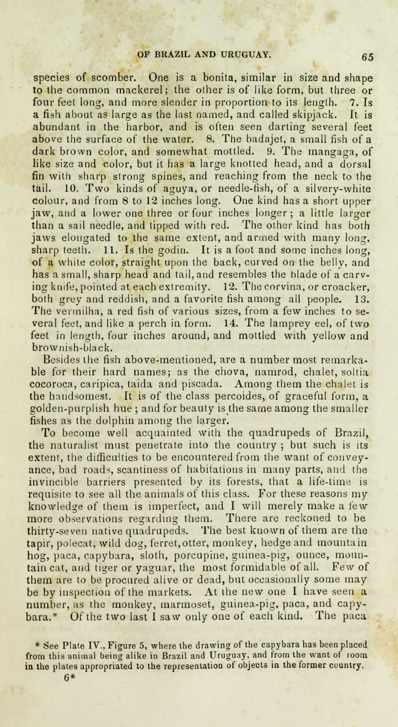 species of scomber. One is a bonila, similar in size and shape to the common mackerel; the other is of like form, but three or four feet long, and more slender in proportion to its length. 7. Is a fish about as large as the last named, and called skipjack. It is abundant in the harbor, and is often seen darting several feet above the surface of the water. 8. The badajet, a small fish of a dark brown color, and somewhat mottled. 9. The rnangaga, of like size and color, but it has a large knotted head, and a dorsal fin with sharp strong spines, and reaching from the neck to the tail. 10. Two kinds of aguya, or needle-fish, of a silvery-white colour, and from 8 to 12 inches long. One kind has a short upper jaw, and a lower one three or four inches longer; a little larger than a sail needle, and tipped with red. The other kind has both jaws elongated to the same extent, and armed with many long, sharp teeth. 11. Is the godin. It is a foot and some inches long, of a white color, straight upon the back, curved on the belly, and has a small, sharp head and tail, and resembles the blade of a carv- ing knife, pointed at each extremity. 12. The corvina, or croacker, both grey and reddish, and a favorite fish among all people. 13. The vermilha, a red fish of various sizes, from a few inches to se- veral feet, and like a perch in form. 14. The lamprey eel, of two feet in length, four inches around, and mottled with yellow and brownish-black. Besides the fish above-mentioned, are a number most remarka- ble for their hard names; as the chova, namrod, chalet, soltia cocoroca, caripica, taida and piscada. Among them the chalet is the handsomest. It is of the class percoides, of graceful form, a golden-purplish hue ; and for beauty is the same among the smaller fishes as the dolphin among the larger. To become well acquainted with the quadrupeds of Brazil, the naturalist must penetrate into the country ; but such is its extent, the difficulties to be encountered from the want of convey- ance, bad roads, scantiness of habitations in many parts, and the invincible barriers presented by its forests, that a life-time is requisite to see all the animals of this class. For these reasons my knowledge of them is imperfect, and I will merely make a few more observations regarding them. There are reckoned to be thirty-seven native quadrupeds. The best known of them are the tapir, polecat, wild dog, ferret,otter, monkey, hedge and mountain hog, paca, capybara, sloth, porcupine, guinea-pig, ounce, moun- tain cat, and tiger or yaguar, the most formidable of all. Few of them are to be procured alive or dead, but occasionally some may be by inspection of the markets. At the new one I have seen a number, as the monkey, marmoset, guinea-pig, paca, and capy- bara.* Of the two last I saw only one of each kind. The paca * See Plate IV., Figure 5, where the drawing of the capybara has been placed from this animal being alike in Brazil and Uruguay, and from the want of room in the plates appropriated to the representation of objects in the former country. 6*