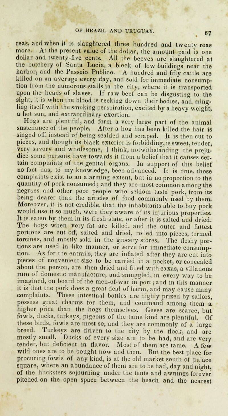 reas, and when it is slaughtered three hundred and twenty reas more. At the present value of the dollar, the amount paid is one dollar and twenty-five cents. All the beeves are slaughtered at the butchery of Santa Lucia, a block of low buildings near the harbor, and the Passeio Publico. A hundred and fifty cattle are killed on an average every day, and sold for immediate consump- tion from the numerous stalls in the city, where it is transported upon the heads of slaves. If raw beef can be disgusting to the sight, it is when the blood is reeking down their bodies, and. ming- ling itself wiih the smoking perspiration, excited by a heavy weight, a hot sun, and extraordinary exertion. Hogs are plentiful, and form a very large part of the animal sustenance of ihe people. After a hog has been killed the hair is singed off, instead of being scalded and scraped. It is then cut to pieces, and though its black exterior is forbidding, is sweet, tender, very savory and wholesome, I think, notwithstanding the preju- dice some persons have towards it from a belief that it causes cer- tain complaints of the genital organs. In support of this belief no fact lias, to my knowledge, been advanced. It is true, those complaints exist to an alarming extent, but in no proportion to the quantity of pork consumed; and they are most common among the negroes and other poor people who seldom taste pork, from its being dearer than the articles of food commonly used by them. Moreover, it is not credible, that the inhabitants able to buy pork would use it so much, were they aware of its injurious properties. It is eaten by them in its fresh state, or after it is salted and dried. The hogs when very fat are killed, and the outer and fattest portions are cut off, salted and dried, rolled into pieces, termed torcinas, and mostly sold in the grocery stores. The fleshy por- tions are used in like manner, or serve for immediate consump- tion. As for the entrails, they are inflated after they are cut into pieces of convenient size to be carried in a pocket, or concealed about the person, are then dried and filled withcaxas, a villanous rum of domestic manufacture, and smuggled, in every way to be imagined, on board of the men-of-war in port; and in this manner it is that the pork does a great deal of harm, and may cause many complaints. These intestinal bottles are highly prized by sailors, possess great charms for them, and command among them a higher price than the hogs themselves. Geese are scarce, but fowls, ducks, turkeys, pigeons of the tame kind are plentiful. Of these birds, fowls are most so, and they are commonly of a large breed. Turkeys are driven to the city by the flock, and are mostly small. Ducks of every size are to be had, and are very tender, but deficient in flavor. Most of them are tame. A few wild ones are to be bought now and then. But the best place for procuring fowls of any kind, is at the old market south of palace square, where an abundance of them are to be had, day and night, of the hucksters sojourning under the tents and awnings forever pitched on the open space between the beach and the nearest