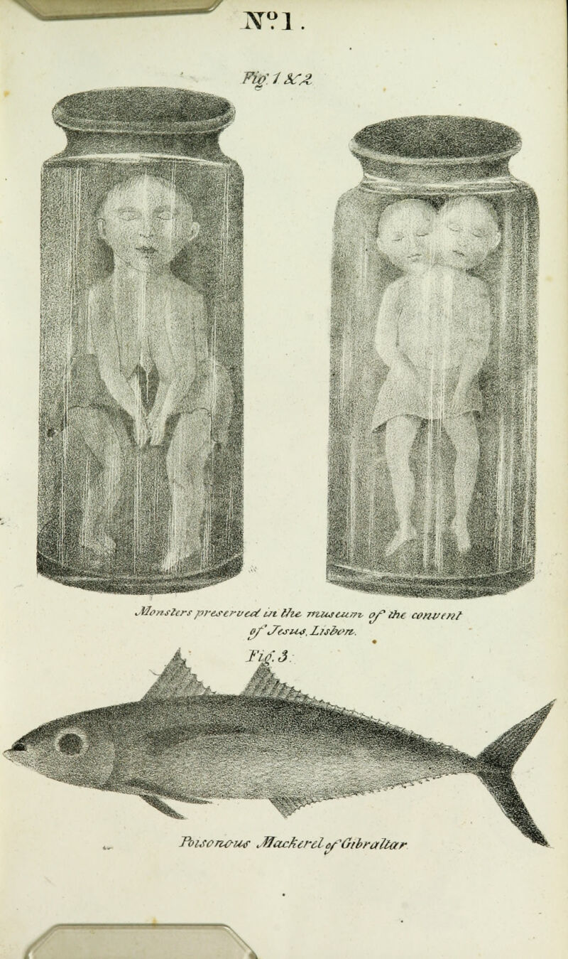 N?l Flg.lgSA 'agfe ■■- e??sZers pr&s-eri/cd ut Hit- mujcu/tz, of the convert? of'Jej-iu, Z.7sbc>n.. fio.3; Tbiscn#u<r Mack ertfefGibraltar /*
