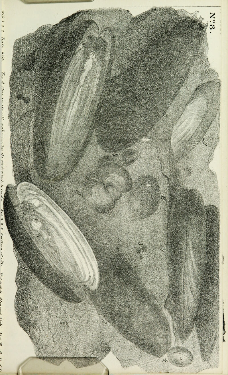 wSsyNSsitoai ;-;'■ ■■ m Sri 1111