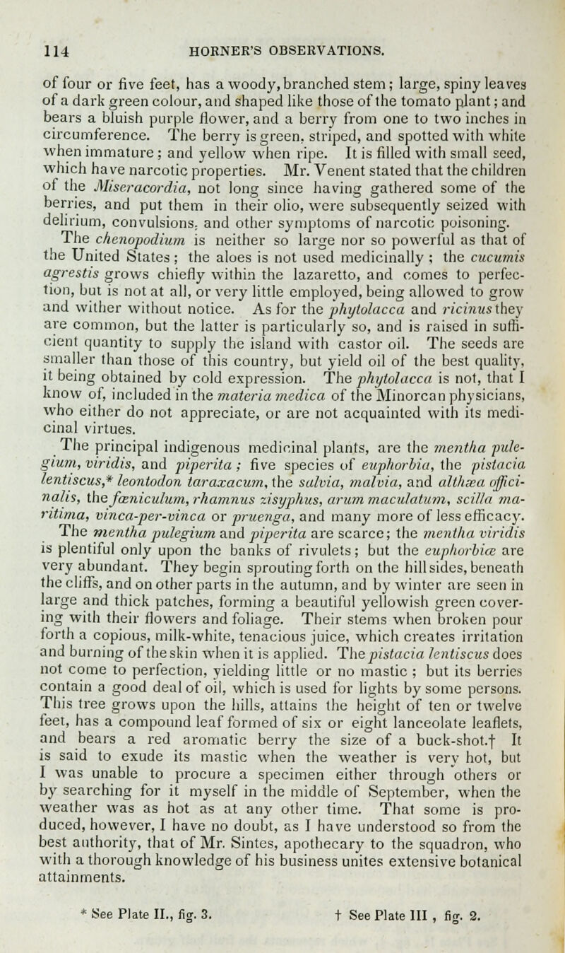 of four or five feet, has a woody, branched stem; large, spiny leaves of a dark green colour, and shaped like those of the tomato plant; and bears a bluish purple flower, and a berry from one to two inches in circumference. The berry is green, striped, and spotted with white when immature ; and yellow when ripe. It is filled with small seed, which have narcotic properties. Mr. Venent stated that the children of the Miseracordia, not long since having gathered some of the berries, and put them in their olio, were subsequently seized with delirium, convulsions, and other symptoms of narcotic poisoning. The chenopodium is neither so large nor so powerful as that of the United States; the aloes is not used medicinally ; the cucumis agrestis grows chiefly within the lazaretto, and comes to perfec- tion, but is not at all, or very little employed, being allowed to grow and wither without notice. As for the phytolacca and ricinu&Xhey are common, but the latter is particularly so, and is raised in suffi- cient quantity to supply the island with castor oil. The seeds are smaller than those of this country, but yield oil of the best quality, it being obtained by cold expression. The phytolacca is not, that I know of, included in the materia medica of the Minorcan physicians, who either do not appreciate, or are not acquainted with its medi- cinal virtues. The principal indigenous medicinal plants, are the mentha pule- gium, viridis, and piperita; five species of euphorbia, the pistacia lenttscus,* leontodon taraxacum, the salvia, malvia, and althaea offici- nalis, the fasniculum, rhamnus zisyphus, arum maculatum, scilla ma- ntima, vmca-per-vinca or pruenga, and many more of less efficacy. The mentha pulegium and piperita are scarce; the mentha viridis is plentiful only upon the banks of rivulets; but the euphorbia are very abundant. They begin sprouting forth on the hillsides, beneath the cliffs, and on other parts in the autumn, and by winter are seen in large and thick patches, forming a beautiful yellowish green cover- ing with their flowers and foliage. Their stems when broken pour forth a copious, milk-white, tenacious juice, which creates irritation and burning of the skin when it is applied. The pistacia lentiscus does not come to perfection, yielding little or no mastic ; but its berries contain a good deal of oil, which is used for lights by some persons. This tree grows upon the hills, attains the height of ten or twelve feet, has a compound leaf formed of six or eight lanceolate leaflets, and bears a red aromatic berry the size of a buck-shot.t It is said to exude its mastic when the weather is very hot, but I was unable to procure a specimen either through others or by searching for it myself in the middle of September, when the weather was as hot as at any other time. That some is pro- duced, however, I have no doubt, as I have understood so from the best authority, that of Mr. Sintes, apothecary to the squadron, who with a thorough knowledge of his business unites extensive botanical attainments.