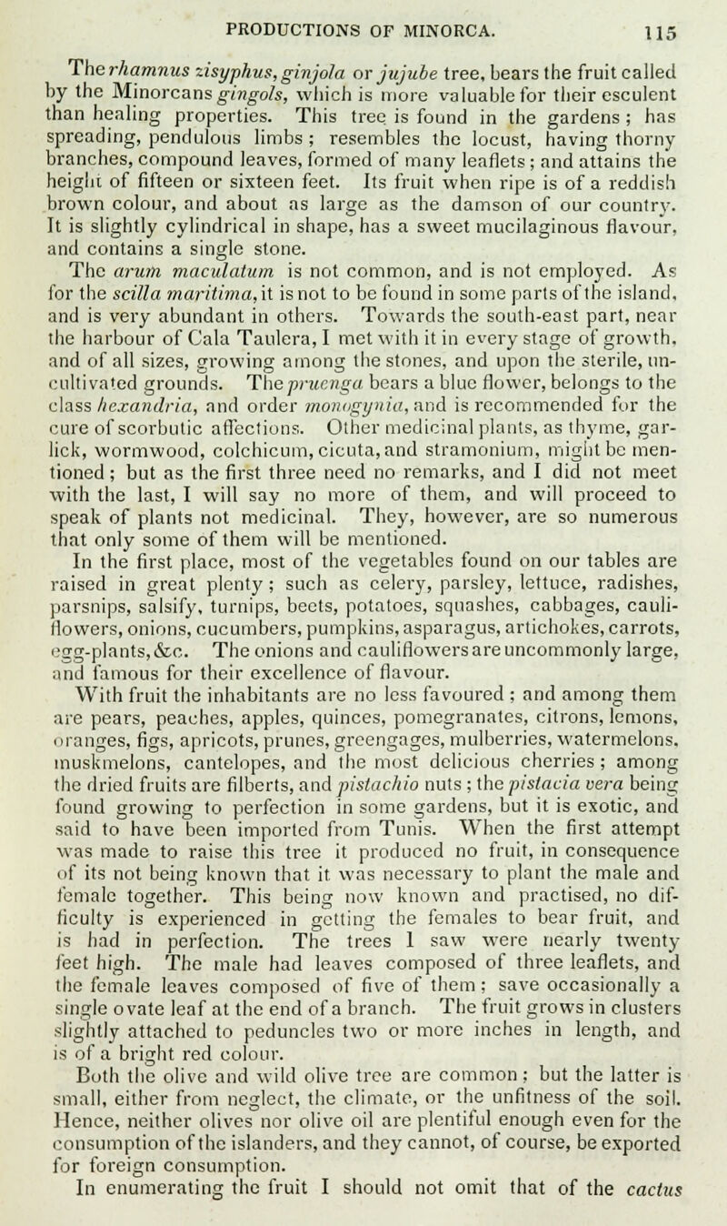 Therhamnus zisyphus,ginjola or jujube tree, bears the fruitcalled by the Mlnorcans gin gols, which is more valuable for their esculent than healing properties. This tree is found in the gardens ; has spreading, pendulous limbs ; resembles the locust, having thorny- branches, compound leaves, formed of many leaflets; and attains the height of fifteen or sixteen feet. Its fruit when ripe is of a reddish brown colour, and about as large as the damson of our country. It is slightly cylindrical in shape, has a sweet mucilaginous flavour, and contains a single stone. The arum maculatum is not common, and is not employed. As for the scilla maritima,\\. is not to be found in some parts of the island, and is very abundant in others. Towards the south-east part, near the harbour of Cala Taulera, I met with it in every stage of growth, and of all sizes, growing among the stones, and upon the sterile, un- cultivated grounds. Thepruenga bears a blue flower, belongs to the class hexandria, and order monogynia, and is recommended for the cure of scorbutic affections. Other medicinal plants, as thyme, gar- lick, wormwood, colchicum,cicuta, and stramonium, might be men- tioned ; but as the first three need no remarks, and I did not meet with the last, I will say no more of them, and will proceed to speak of plants not medicinal. They, however, are so numerous that only some of them will be mentioned. In the first place, most of the vegetables found on our tables are raised in great plenty; such as celery, parsley, lettuce, radishes, parsnips, salsify, turnips, beets, potatoes, squashes, cabbages, cauli- flowers, onions, cucumbers, pumpkins, asparagus, artichokes, carrots, egg-plants, &c. The onions and cauliflowers are uncommonly large, and famous for their excellence of flavour. With fruit the inhabitants are no less favoured ; and among them are pears, peaches, apples, quinces, pomegranates, citrons, lemons, oranges, figs, apricots, prunes, greengages, mulberries, watermelons, muskmelons, cantelopes, and the most delicious cherries; among the dried fruits are filberts, and pistachio nuts ; the pistacia vera being found growing to perfection in some gardens, but it is exotic, and said to have been imported from Tunis. When the first attempt was made to raise this tree it produced no fruit, in consequence of its not being known that it. was necessary to plant the male and female together. This being now known and practised, no dif- ficulty is experienced in getting the females to bear fruit, and is had in perfection. The trees 1 saw were nearly twenty- feet high. The male had leaves composed of three leaflets, and the female leaves composed of five of them; save occasionally a single ovate leaf at the end of a branch. The fruit grows in clusters slightly attached to peduncles two or more inches in length, and is of a bright red colour. Both the olive and wild olive tree are common; but the latter is small, either from neglect, the climate, or the unfitness of the soil. Hence, neither olives nor olive oil are plentiful enough even for the consumption of the islanders, and they cannot, of course, be exported for foreign consumption. In enumerating the fruit I should not omit that of the cactus