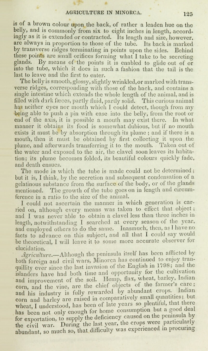 AGRICULTURE IN MINORCA. is of a brown colour upon the back, of rather a leaden hue on the belly, and is commonly from six to eight inches in length, accord- ingly as it is extended or contracted. Its length and size, however, are always in proportion to those of the tube. Its back is marked by transverse ridges terminating in points upon the sides. Behind these points are small orifices forming what I take to be secreting glands. By means of the points it Is enabled to glide out of or into the tube, which it does in such a fashion that the tail is the last to leave and the first to enter. The belly is smooth, glossy, slightly wrinkled, or marked with trans- verse ridges, corresponding with those of the back, and contains a single intestine which extends the whole length of the animal, and is filled with dark faeces, partly fluid, partly solid. This curious animal has neither eyes nor mouth which I could detect, though from my being able to push a pin with ease into the belly, from the root or end of the axis, it is possible a mouth may exist there. In what manner it obtains its food is somewhat dubious, but if no mouth exists it must be by absorption through its plume ; and if there is a mouth, then it must be obtained by first collecting it upon the plume, and afterwards transferring it to the mouth. Taken out of the water and exposed to the air, the clavel soon leaves its habita- tion; its plume becomes folded, its beautiful colours quickly fade, and death ensues. The mode in which the tube is made could not be determined; but it is, I think; by the secretion and subsequent condensation of a gelatinous substance from the surface of the body, or of the glands mentioned. The growth of the tube goes on in length and circum- ference in a ratio to the size of the animal. I could not ascertain the manner in which generation is car- ried on, although every means was taken to effect that object; and I was never able to obtain a clavel less than three inches in length, notwithstanding I searched at every season of the year, and employed others to do the same. Inasmuch, then, as I have no facts to advance on this subject, and all that I could say would be theoretical, I will leave it to some more accurate observer for elucidation. Agriculture.—Although the peninsula itself has been afflicted by both foreign and civil wars, Minorca has continued to enjoy tran- quillity ever since the last invasion of the English in 1798; and the islanders have had both time and opportunity for the cultivation and improvement of the soil. Hemp, flax, wheat, barley, Indian corn, and the vine, are the chief objects of the farmers care; and his industry is fully rewarded by_ abundant crops Indian corn and barley are raised in comparatively small quantities; but wheat, I understood, has been of late years so plentiful, that there has been not only enough for home consumption but a good deal for exportation, to supply the deficiency caused on the peninsula by the civil war. During the last year, the crops were particularly abundant, so much so, that difficulty was experienced in procuring