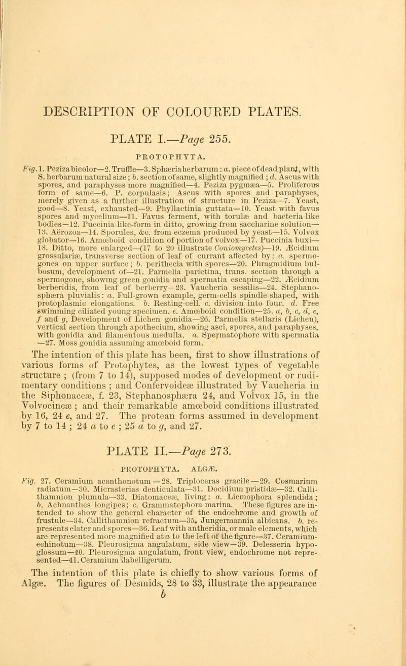 DESCRIPTION OF COLOURED PLATES. PLATE I.—Page 255. PEOTOPHYTA. Fig. 1. Pezizabicolor—2. Truffle—3. SpliEEriaherbarum: a. piece of deadplani, with 5. herbarum natural size; b. section of same, slightly magnified ; d. Ascus with spores, and paraphyses more magnified—4. Peziza pj'gmsea—5. Proliferoits form of same—6. P. corpulasis; Ascus with spores and paraphyses, merely given as a further illustration of structure in Peziza—7. Yeast, good—8. Yeast, exhausted—9. Phyllactinia guttata—10. Yeast with favus spores and mycelium—11. Favus ferment, with torulse and bacteria-like bodies—12. Puccinia-like-form in ditto, growing from saccharine solution— 13. Aerozoa—14. Sporules, <fec. from eczema produced by yeast—15. Volvox globator—16. Amoeboid condition of portion of volvox—17. Puceiuia buxi— 18. Ditto, more enlarged—(17 to 20 illustrate Coniomycetes)—19. jEcidium grossulariae, transverse section of leaf of currant aflected by: a. spermo- gones on upper surface ; 6. perithecia with spores—20. Phragmidium bul- bosum, development of—21. Parmelia parietina, trans, section through a spermogone, showmg gi'een gonidia and spermatia escaping—22. iEcidium berberidis, from leaf of berberry—23. Vaucheria sessilis—24. Stephauo- sphaera pluvialis: a. Full-grown example, germ-cells spindle-shai>ed, with protoplasmic elongations. 6. Resting-cell. c. di^asion into four. d. Free swimming ciliated young specimen, c. Amoeboid condition—25. a, b, c, d, e, f and g, Development of Lichen gonidia—26. Parmelia stellaris (Lichen), vertical section through apothecium, shovring asci, spores, and paraphyses, with gonidia and filamentous medulla, a. Speymatophore with spermatia —27. iVIoss gonidia assuming amoeboid form. The intention of this phxte has been, first to show illustrations of various forms of Protophytes, as the lowest types of vegetable structure ; (from 7 to 14), supposed modes of development or rudi- mentary conditions ; and Confervoideai illustrated by Vaucheria in the Sii^honacese, f. 23, Stephanosphsera 24, and Volvox 15, in the Volvociuese ; and their remarkable amojboid conditions illustrated by 16, 24 e, and 27. The protean forms assumed in development by 7 to 14 ; 24 a to e ; 25 a to g, and 27. PLATE II.—Page 273. PROTOPHYTA, ALG.S]. Fig. 27. Ceramium acanthonotum — 28. Triploceras gracile—29. Cosmarium radiatum—30. Miorasterias denticulata—31. Docidium pristidse—32. Calli- thamnion plumula—33. Diatomacese, living: a. Licmophora splendida ; 6. Achnanthes longipes; c. Grammatophora marina. These figures are in- tended to show the general character of the endochrome and growth of frustule—34. Callithamuion refractum—35. Jungermannia albicans. 6. re- presents elater and spores—36. Leaf with antheridia, or male elements, which are represented more magnified at a to the left of the figure—37. Ceramium- echinotum—38. Pleurosigma angulatum, side view—39. Delesseria hyjio- glossum—40. Pleurosigma angulatum, front view, endochrome not repre- sented—41. Ceramium iiabelligerum. The intention of this plate is chiefly to show various forms of Algse. The figures of Desmids, 28 to 33, illustrate the appearance b