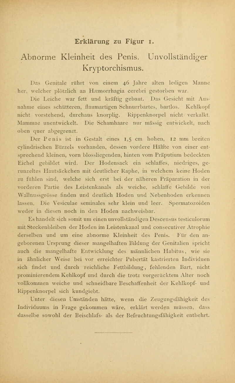 Abnorme Kleinheit des Penis. Unvollständiger Kryptorchismus. 1 >as Genitale rührt von einem 46 Jahre alten ledigen Manne her. welcher plötzlich an Haemorrhagia cerebri gestorben war. 1 >ie Leiche war fett und kräftig gebaut. Das Gesicht mit Aus- nahme eines schütteren, flaumartigen Schnurrbartes, bartlos. Kehlkopf nicht vorstehend, durchaus knorplig. Kippenknorpel nicht verkalkt. Mammae unentwickelt. Die Schamhaare nur massig entwickelt, nach oben quer abgegrenzt. Der Penis ist in Gestalt eines 1,5 cm hohen, 12 mm breiten cylindrischen Bürzels vorhanden, dessen vordere Hälfte von einer ent- sprechend kleinen, vorn biossliegenden, hinten vom Präputium bedeckten Eichel gebildet wird. Der Hodensack ein schlaffes, niedriges, ge- runzeltes Hautsäckchen mit deutlicher Raphe, in welchem keine Hoden zu fühlen sind, welche sich erst bei der näheren Präparation in der vorderen Partie des Leistenkanals als weiche, schlaffe Gebilde von Wallnussgrösse finden und deutlich Hoden und Nebenhoden erkennen lassen. Die Vesiculae seminales sehr klein und leer. Spermatozoiden weder in diesen noch in den Hoden nachweisbar. Ls handelt sich somit um einen unvollständigen Descensus testiculorum mit Steckenbleiben der Hoden im Leistenkanal und consecutiver Atrophie derselben und um eine abnorme Kleinheit des Penis. Für den an- geborenen Ursprung dieser mangelhaften Bildung der Genitalien spricht auch die mangelhafte Entwicklung des männlichen Habitus, wie sie in ähnlicher Weise bei vor erreichter Pubertät kastrierten Individuen sich findet und durch reichliche Fettbildung, fehlenden Bart, nicht prominierendem Kehlkopf und durch die trotz vorgerücktem Alter noch vollkommen weiche und schneidbare Beschaffenheit der Kehlkopf- und Rippenknorpel sich kundgiebt. Unter diesen Umständen hätte, wenn die Zeugungsfähigkeit des Individuums in Frage gekommen wäre, erklärt werden müssen, dass dasselbe sowohl der Beischlafs- als der Befruchtungsfähigkeit entbehrt.