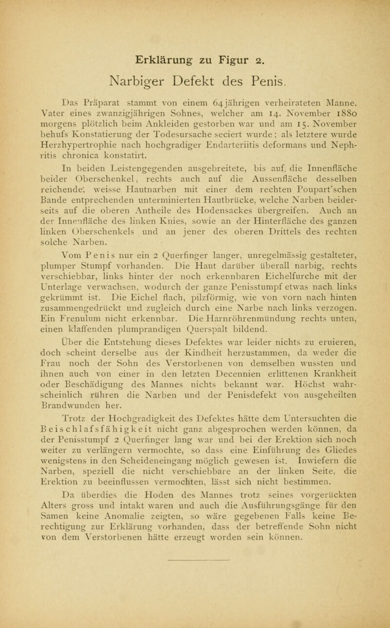 Narbiger Defekt des Penis. Das Präparat stammt von einem 64jährigen verheirateten Manne. Vater eines zwanzigjährigen Sohnes, welcher am 14. November 18S0 morgens plötzlich heim Ankleiden gestorben war und am 15. November behufs Konstatierung der Todesursache seciert wurde; als letztere wurde Herzhypertrophie nach hochgradiger Endarteriitis deformans und Neph- ritis chronica konstatirt. In beiden Leistengegenden ausgebreitete, bis auf. die Innenfläche beider (>berschenkel, rechts auch auf die Aussenrlächo desselben reichende', weisse Hautnarben mit einer dem rechten Poupart'schen Bande entprechenden unterminierten Hautbrücke, welche Narben beider- seits auf die oberen Antheile des Hodensackes übergreifen. Auch an der Innenfläche des linken Knies, sowie an der Hinterfläche des ganzen linken t Oberschenkels und an jener des oberen Drittels des rechten solche Narben. Vom Penis nur ein 2 Querfinger langer, unregelmässig gestalteter, plumper Stumpf vorhanden. Die Haut darüber überall narbig, rechts verschiebbar, links hinter der noch erkennbaren Eichelfurche mit der Unterlage verwachsen, wodurch der ganze Penisstumpf etwas nach links gekrümmt ist. 1 >ie Eichel flach, pilzförmig, wie von vorn nach hinten zusammengedrückt und zugleich durch eine Narbe nach links verzogen. Ein Frenulum nicht erkennbar. Die Harnröhrenmündung rechts unten, einen klaffenden plumprandigen Querspalt bildend. Über die Entstehung dieses Defektes war leider nichts zu eruieren, doch scheint derselbe aus der Kindheit herzustammen, da weder die Frau noch der Sohn des Verstorbenen von demselben wussten und ihnen auch von einer in den letzten Decennien erlittenen Krankheit oder Beschädigung des Mannes nichts bekannt war. Höchst wahr- scheinlich rühren die Narben und der Penisdefekt von ausgeheilten Brandwunden her. Trotz der Hochgradigkeit des I >efektes hätte dem Untersuchten die Beischlafsfähigkeit nicht ganz abgesprochen werden können, da der Penisstumpf 2 Querfinger lang war und bei der Erektion sich noch weiter zu verlängern vermochte, so das- eine Einführung de- Glii wenigstens in den Scheideneingang möglich gewesen ist. Inwiefern die Narben, speziell die nicht verschiebbare an der linken Seite, die Erektion zu beeinflussen vermochten, läs^t sich nicht bestimmen. Da überdies die Hoden des Manne- trotz seine- vorgerückten Alters gross und intakt waren und auch die Ausführungsgänge für den Samen keine Anomalie zeigten, so wäre gegebenen Falls keine Be- rechtigung zur Erklärung vorhanden, dass der betreffende Sohn nicht von dem Verstorbenen hätte erzeugt worden sein können.