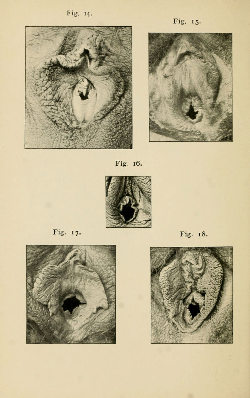 Fig. 15. Fig. 16.