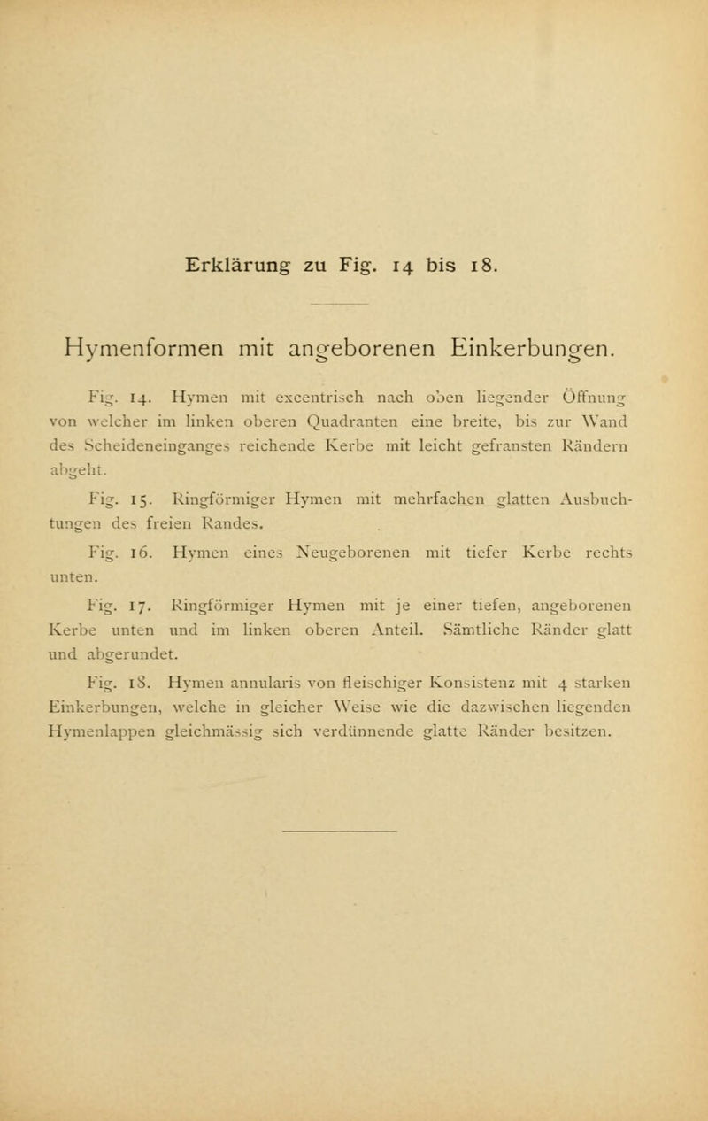 Hymenformen mit angeborenen Einkerbungen. Fig. 14. Hymen mit excentrisch nach oben liegender Öffnung von welcher im linken oberen Quadranten eine breite, bis zur Wand des Scheideneinganges reichende Kerbe mit leicht gefransten Rändern abgeht. Fig- 15- Ringförmiger Hymen mit mehrfachen glatten Ausbuch- tungen des freien Randes. Fig. 16. Hymen eines Neugeborenen mit tiefer Kerbe rechts unten. Fig. 17. Ringförmiger Hymen mit je einer tiefen, angeborenen Kerbe unten und im linken oberen Anteil. Sämtliche Ränder glatt und abgerundet. Fig. iS. Hymen annularis von fleischiger Konsistenz mit 4 starken Fi'.ikerbungen, welche in gleicher Weise wie die dazwischen liegenden Hymenlappen gleichmäßig sich verdünnende glatte Ränder besitzen.