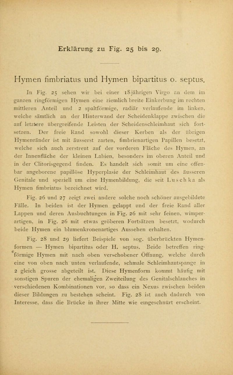 Hymen hmbriatus und Hymen bipartitus o. septus. In Fig. 25 sehen wir bei einer 18jährigen Virgo an dem im ganzen ringförmigen Hymen eine ziemlich breite Einkerbung im rechten mittleren Anteil und 2 spaltförmige, radiär verlaufende im linken, welche sämtlich an der Hinterwand der Scheidenklappe zwischen die auf letztere übergreifende Leisten der Scheidenschleimhaut sich fort- setzen. Der freie Rand sowohl dieser Kerben als der übrigen Hymenränder ist mit äusserst zarten, fimbrienartigen Papillen besetzt, welche sich auch zerstreut auf der vorderen Fläche des Hymen, an der Innenfläche der kleinen Labien, besonders im oberen Anteil und in der Clitorisgegend finden. Es handelt sich somit um eine offen- bar angeborene papillöse Hyperplasie der Schleimhaut des äusseren Genitale und speziell um eine Hymenbildung, die seit Luschka als Hymen fimbriatus bezeichnet wird. Fig. 26 und 27 zeigt zwei andere solche noch schöner ausgebildete Fälle. In beiden ist der Hymen gelappt und der freie Rand aller Lappen und deren Ausbuchtungen in Fig. 26 mit sehr feinen, wimper- artigen, in Fig. 26 mit etwas gröberen Fortsätzen besetzt, wodurch beide Hymen ein blumenkronenartiges Aussehen erhalten. Fig. 28 und 29 liefert Beispiele von sog. überbrückten Hymen- formen — Hymen bipartitus oder H. septus. Beide betreffen ring- förmige Hymen mit nach oben verschobener Öffnung, welche durch eine von oben nach unten verlaufende, schmale Schleimhautspange in 2 gleich grosse abgeteilt ist. Diese Hymenform kommt häufig mit sonstigen Spuren der ehemaligen Zweiteilung des Genitalschlauches in verschiedenen Kombinationen vor, so dass ein Nexus zwischen beiden dieser Bildungen zu bestehen scheint. Fig. 28 ist auch dadurch von Interesse, dass die Brücke in ihrer Mitte wie eingeschnürt erscheint.